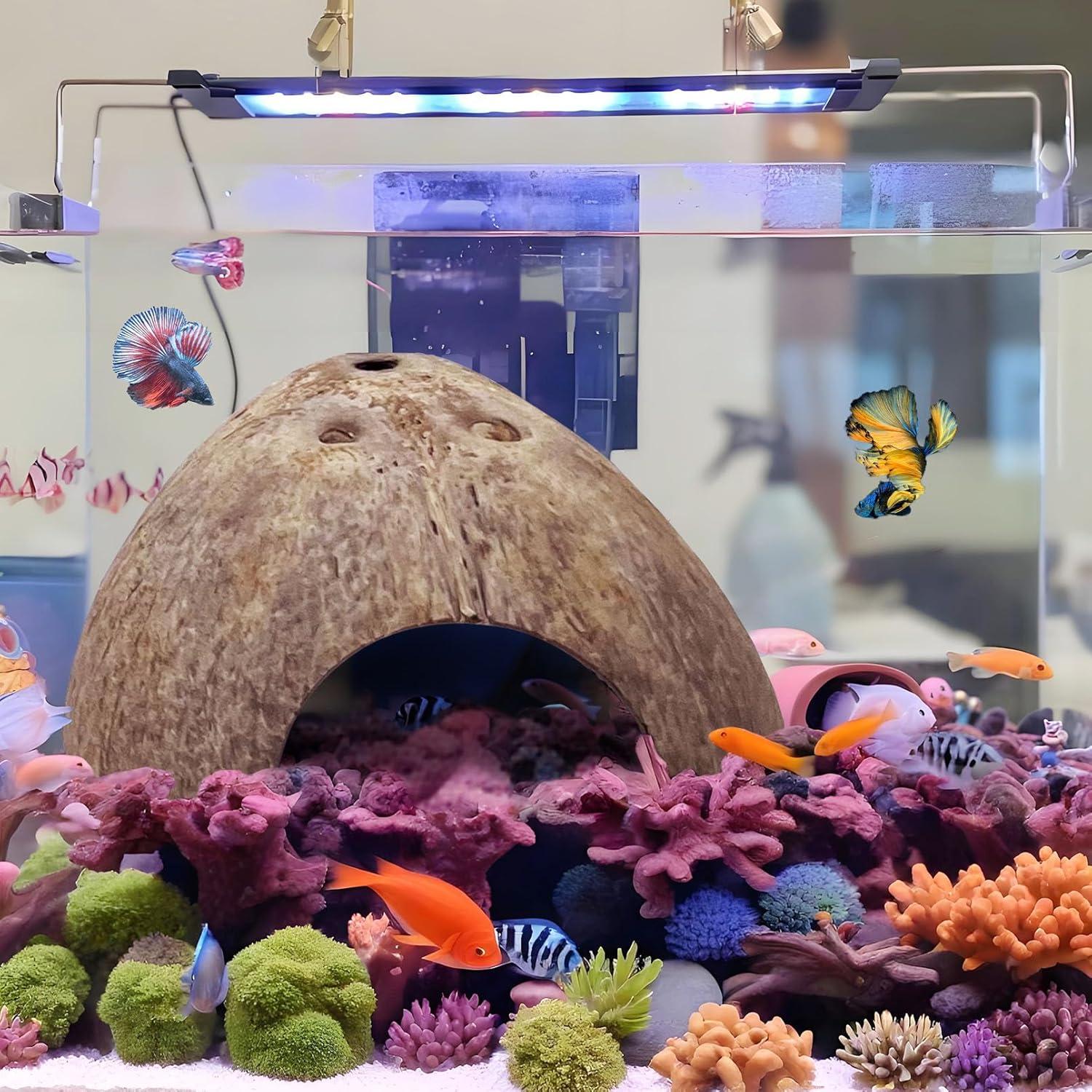 Juego de Escondites de Coco Natural Hamiledyi 7 Piezas