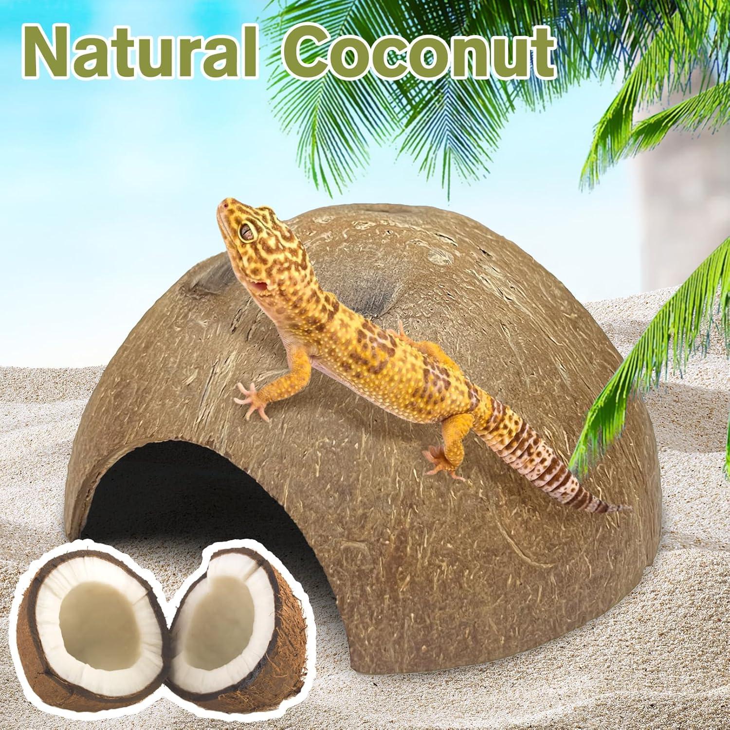 Juego de Escondites de Coco Natural Hamiledyi 7 Piezas
