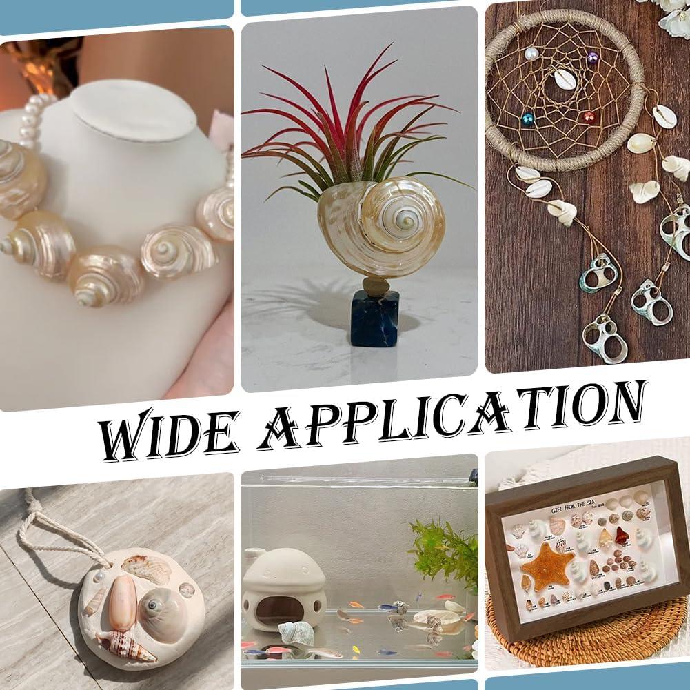 16 Caracolas Naturales Sin Perforar PH PandaHall 21-29 mm