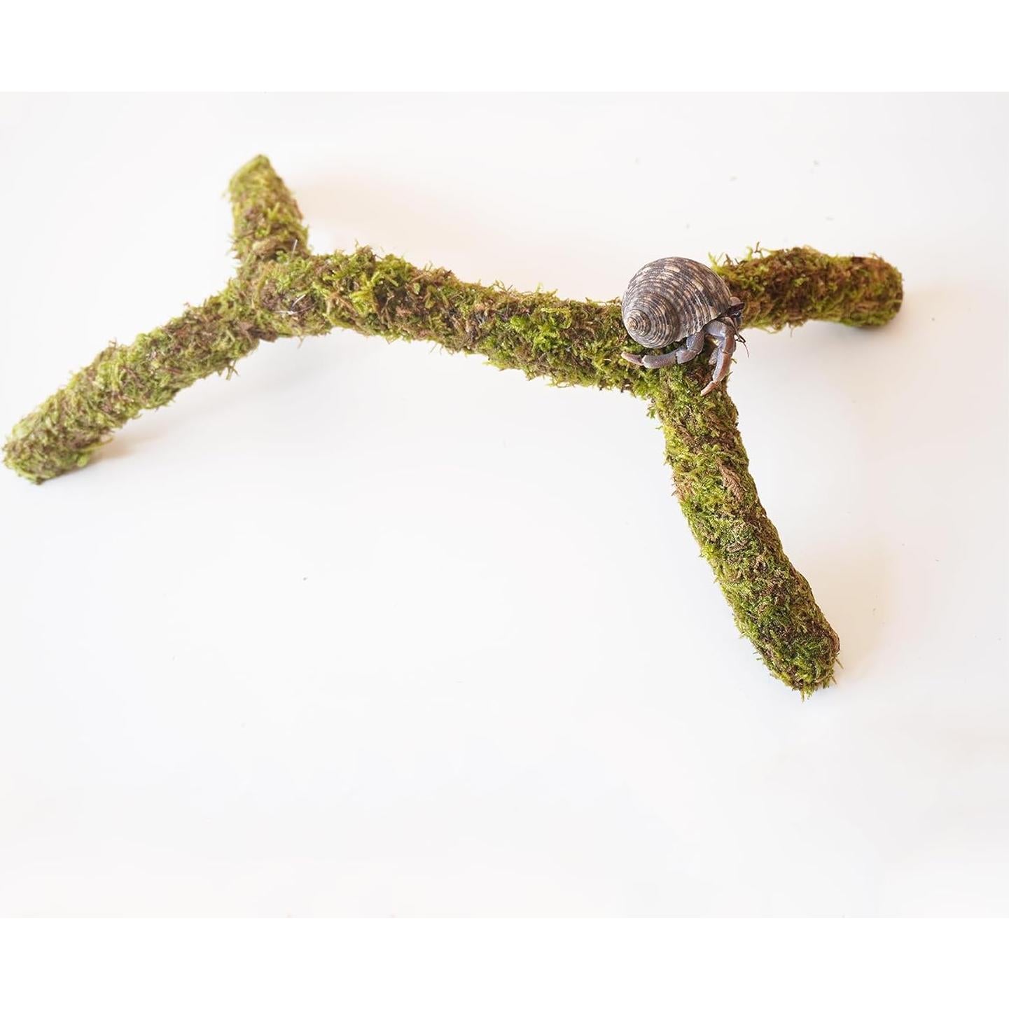 Poste de Musgo para Cangrejos Ermitaños Begeterday 30.48 cm