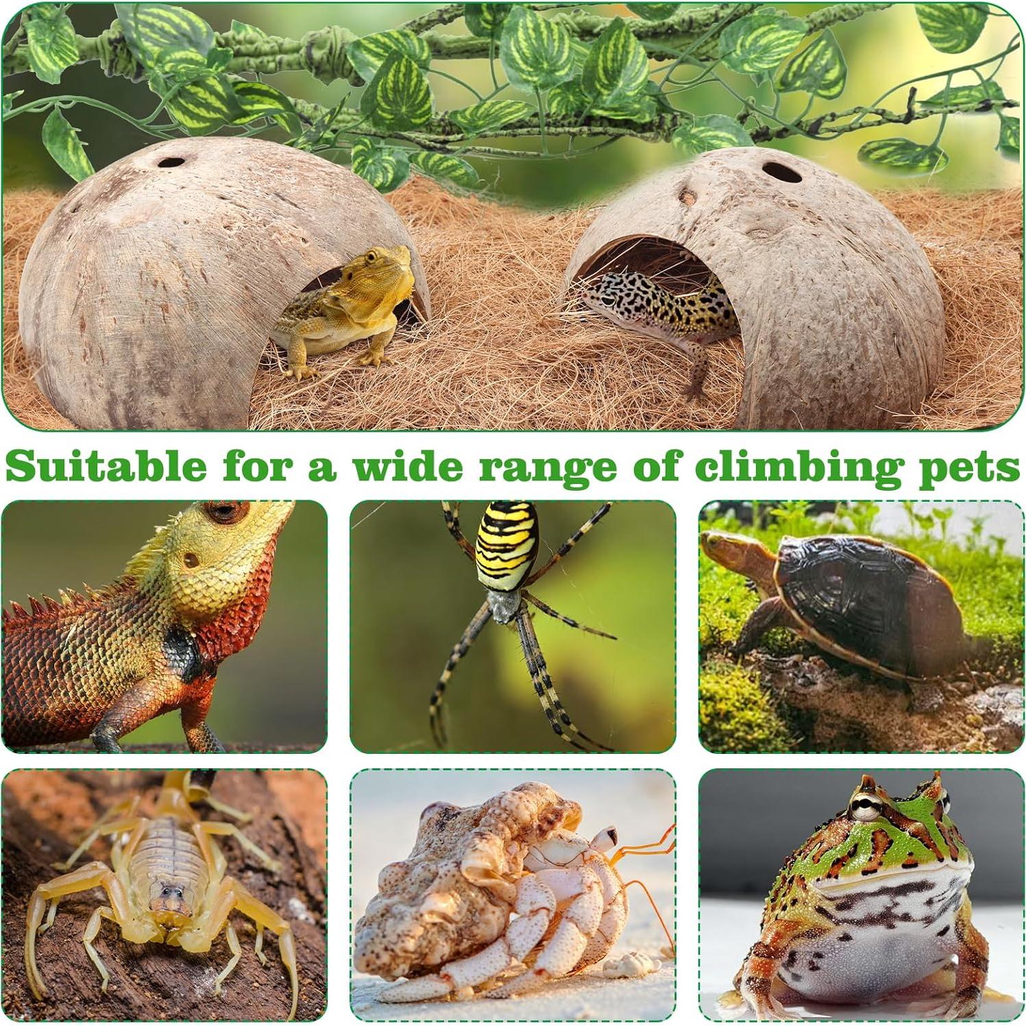 Accesorios para Terrario QUOZUO - Vides y Escondites para Reptiles