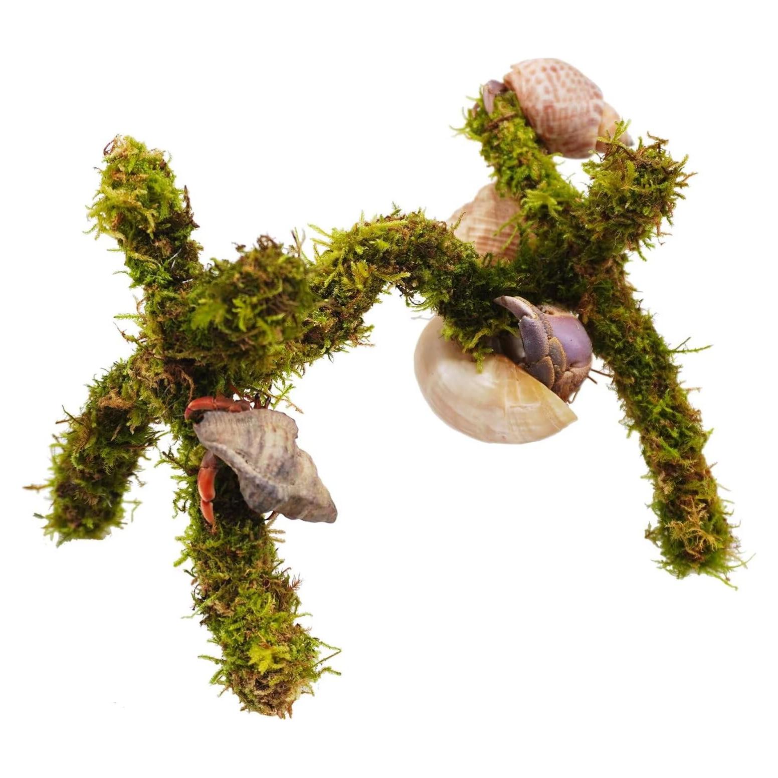 Juguete de Escalada para Cangrejo Ermitaño Jinymral 15 cm