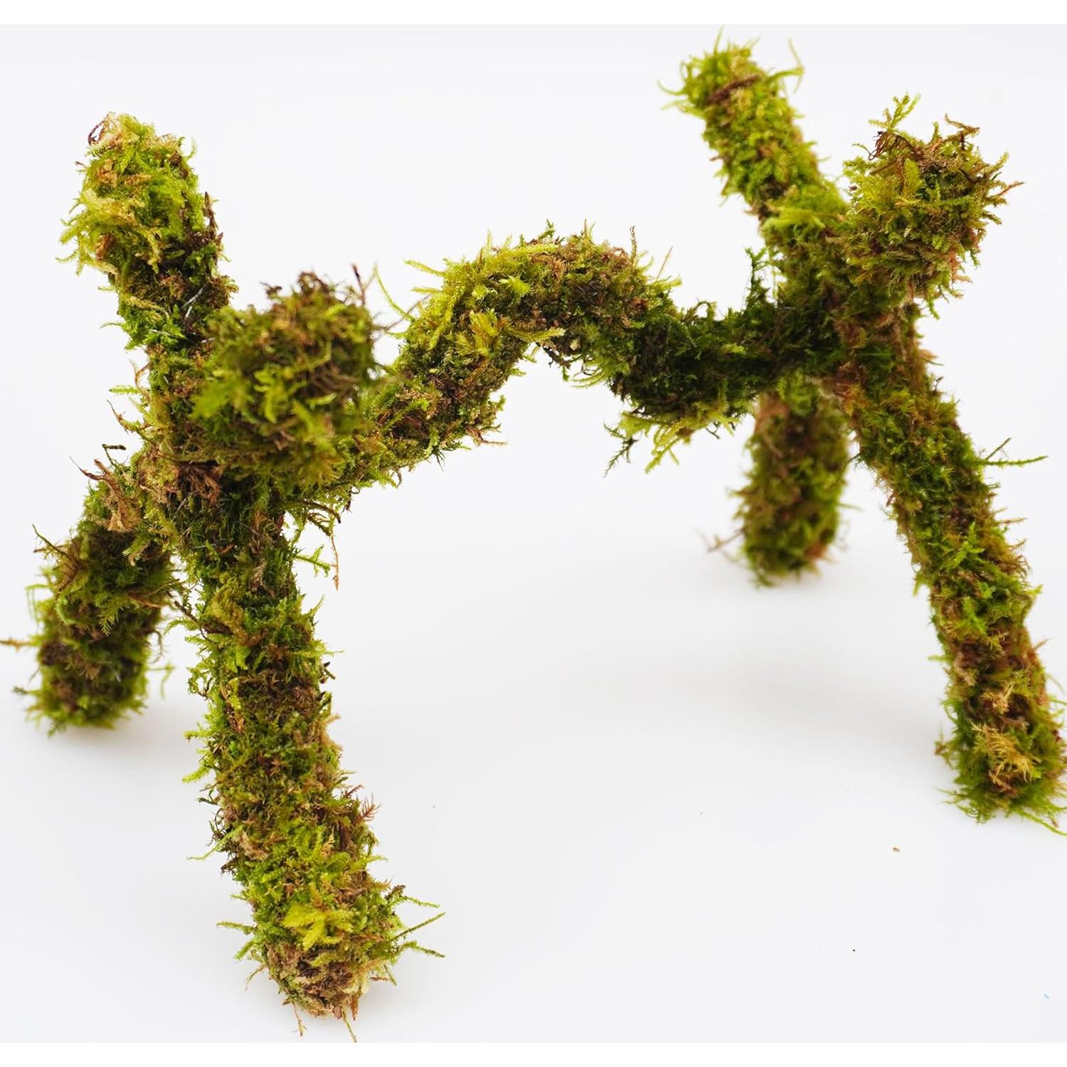 Juguete de Escalada para Cangrejo Ermitaño Jinymral 15 cm