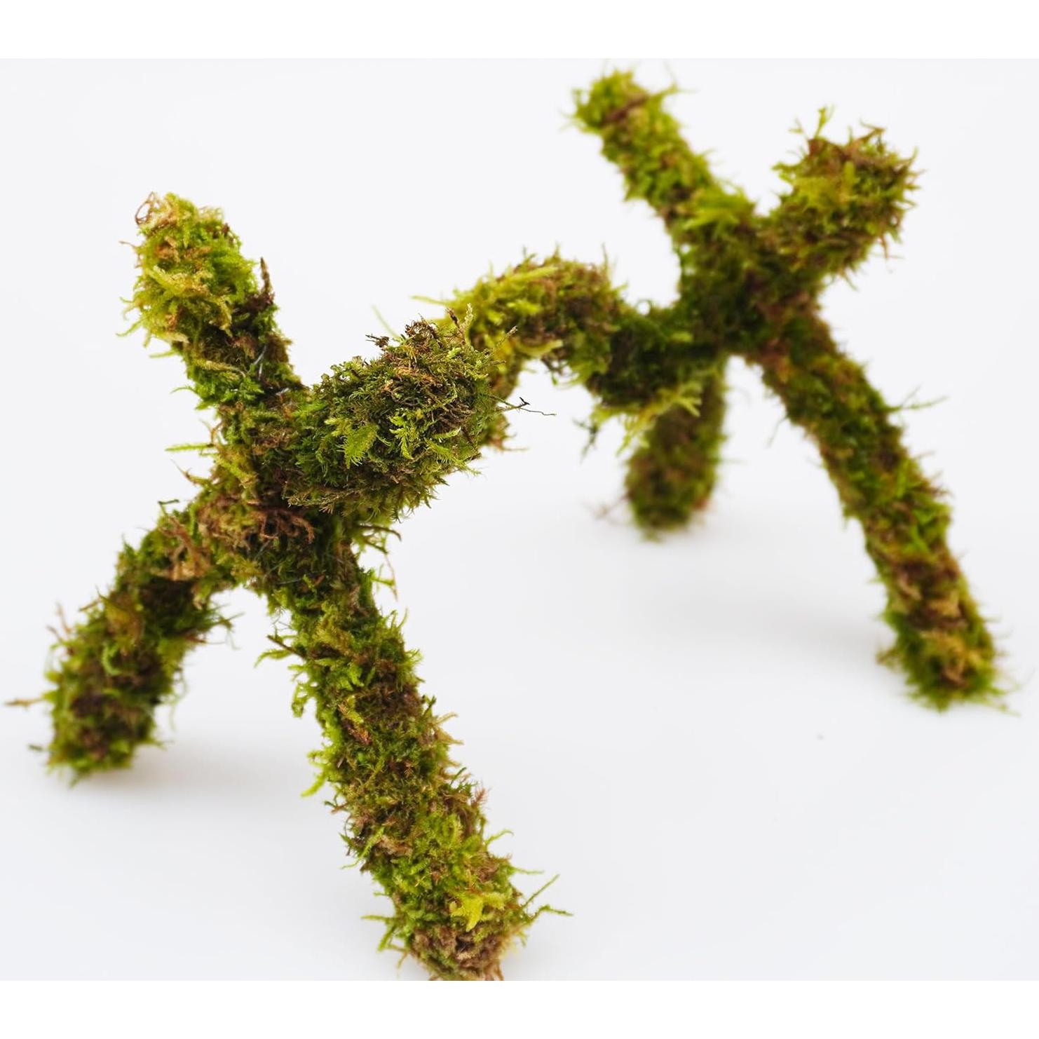 Juguete de Escalada para Cangrejo Ermitaño Jinymral 15 cm