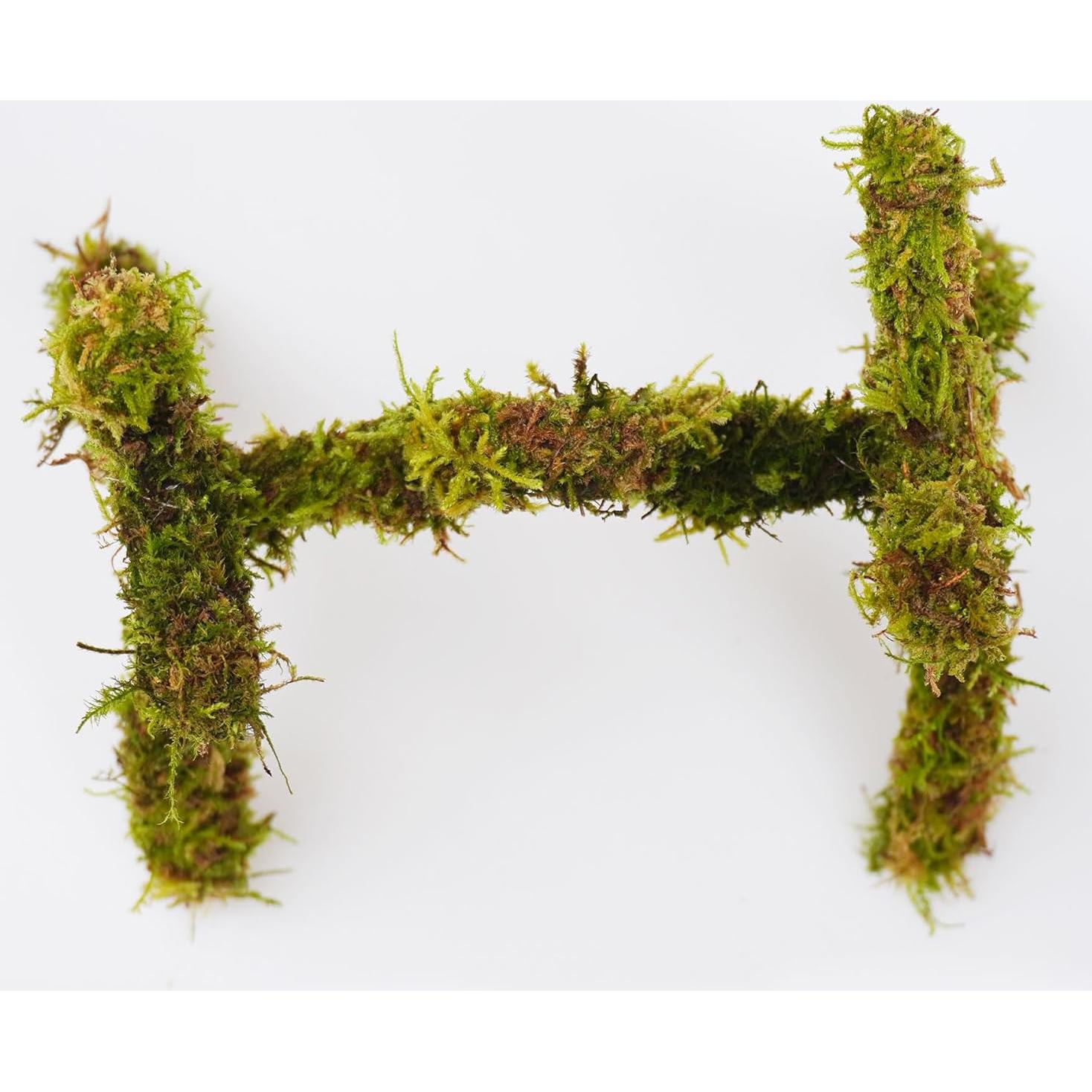 Juguete de Escalada para Cangrejo Ermitaño Jinymral 15 cm