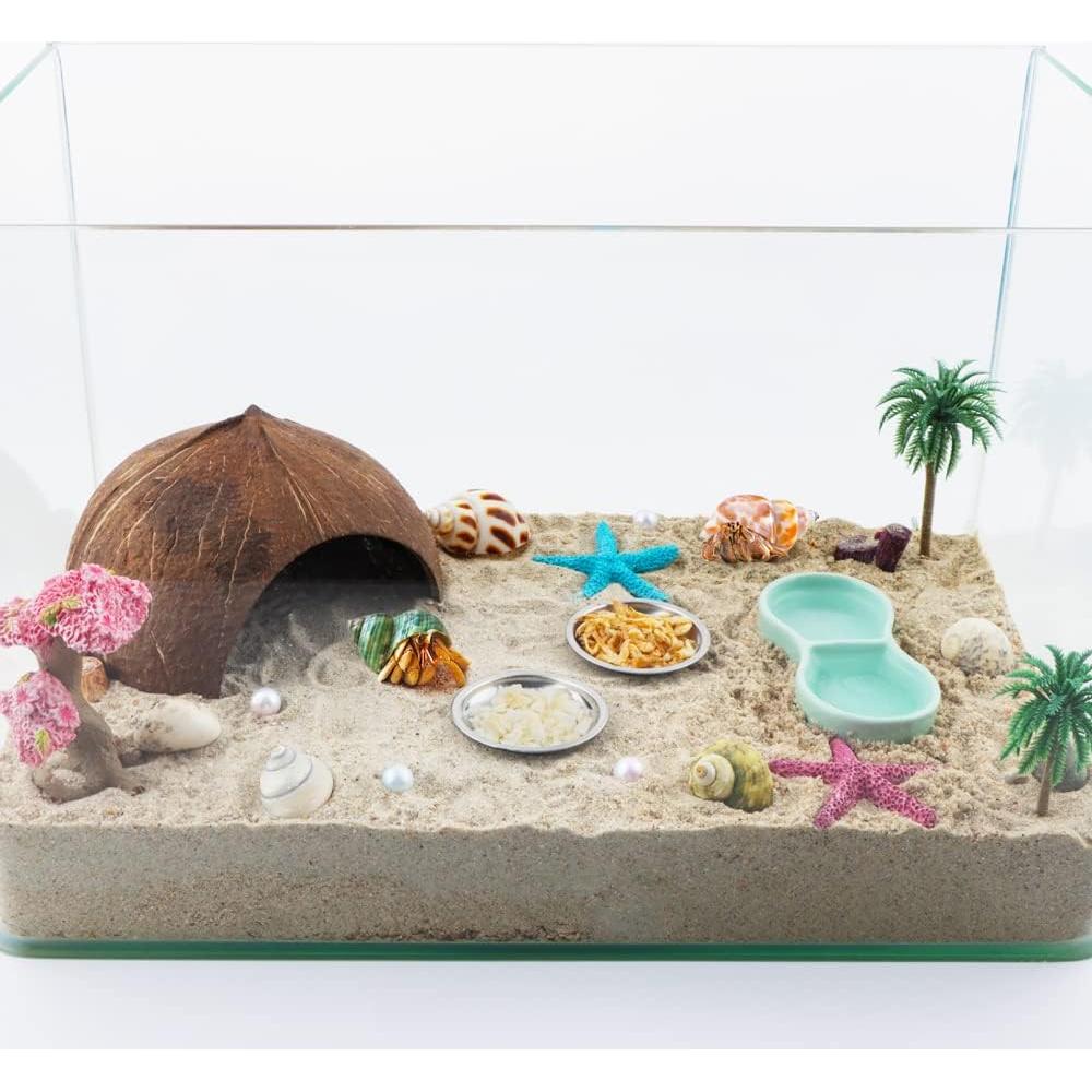 6 Tazones de Acero Inoxidable para Cangrejo Ermitaño DQITJ