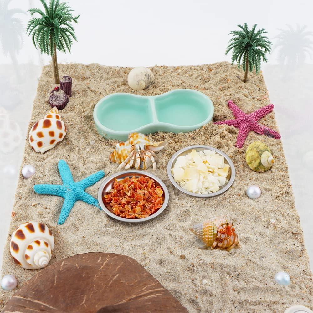 6 Tazones de Acero Inoxidable para Cangrejo Ermitaño DQITJ