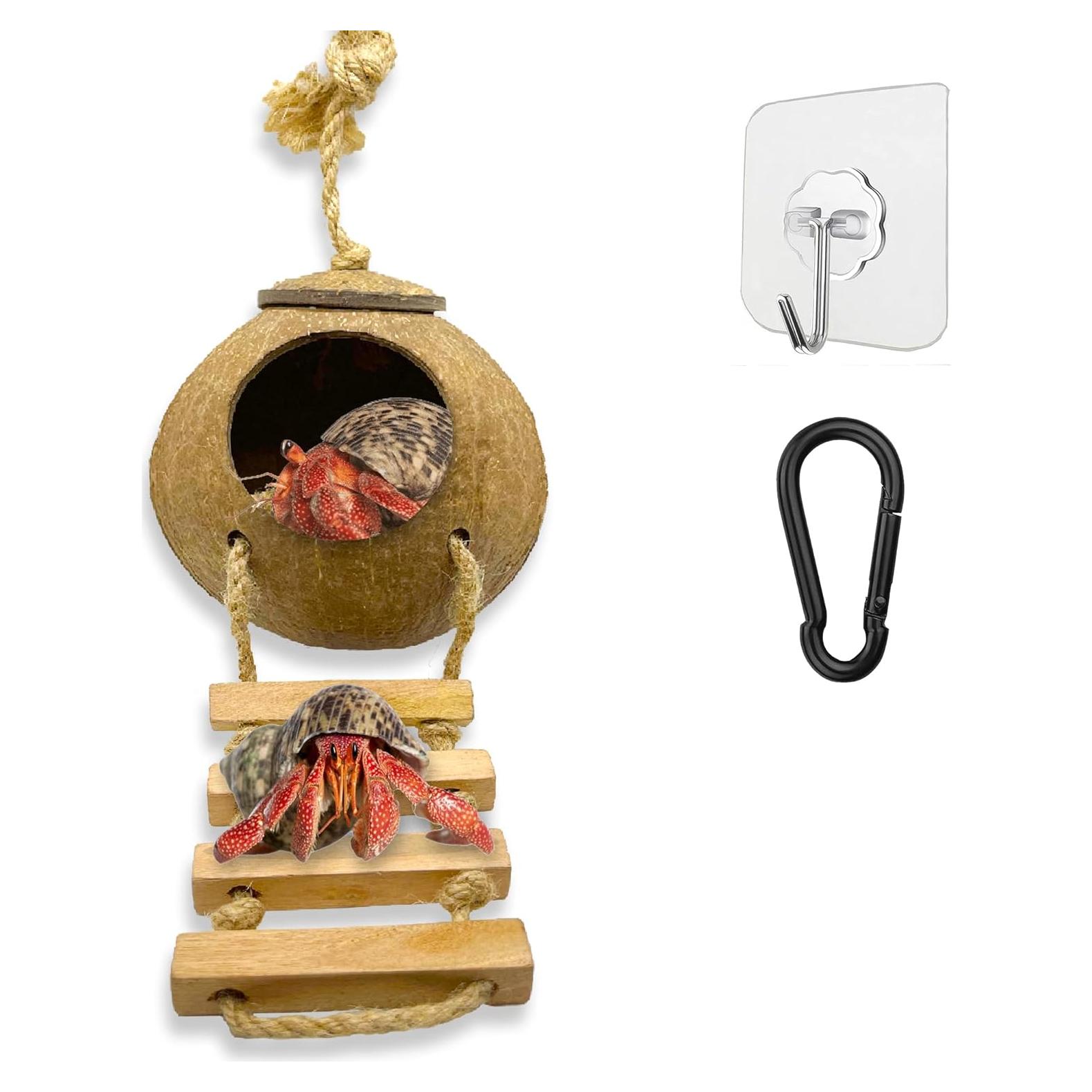 Cueva de Coco Favozio Grande para Cangrejo Ermitaño y Mascotas