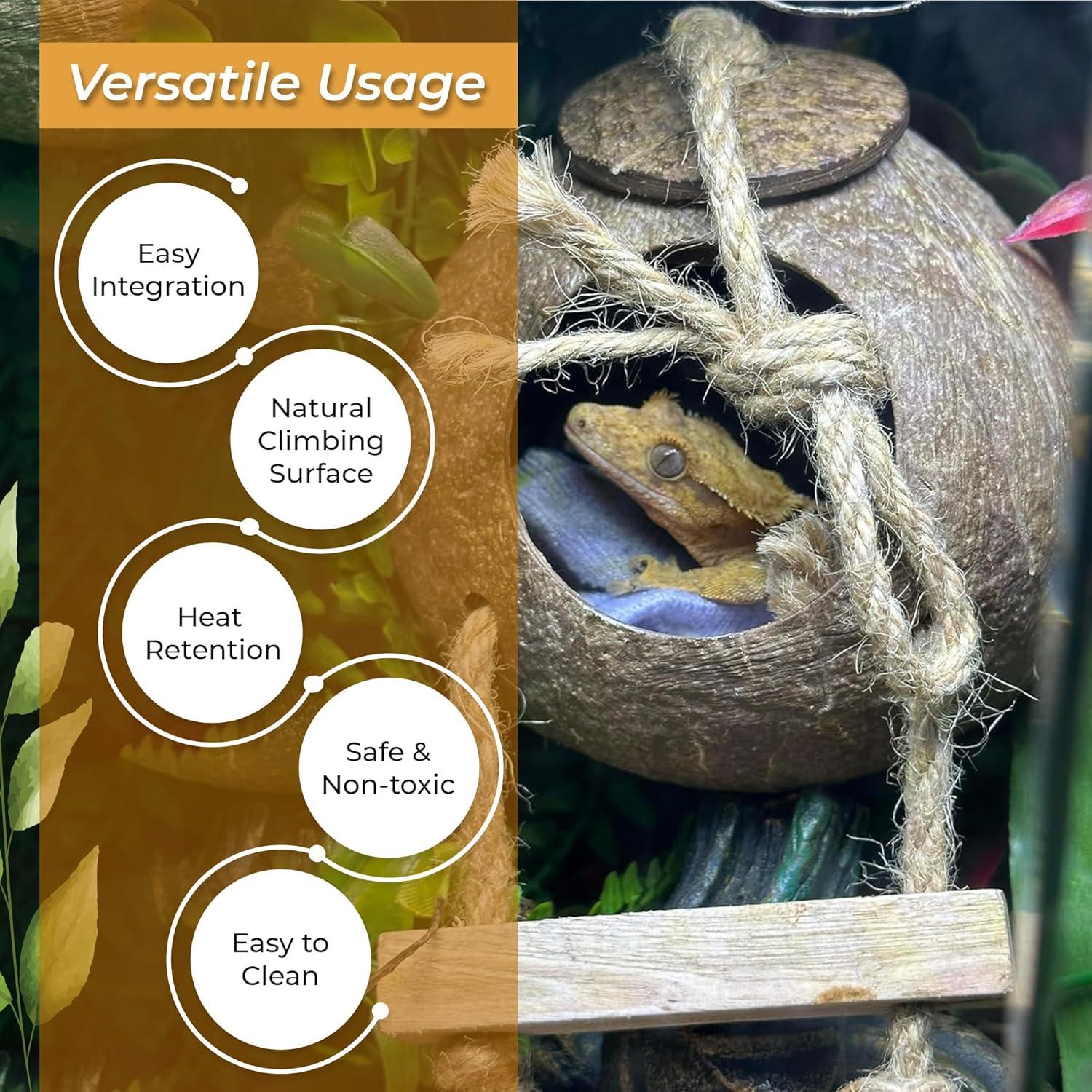 Cueva de Coco Favozio Grande para Cangrejo Ermitaño y Mascotas