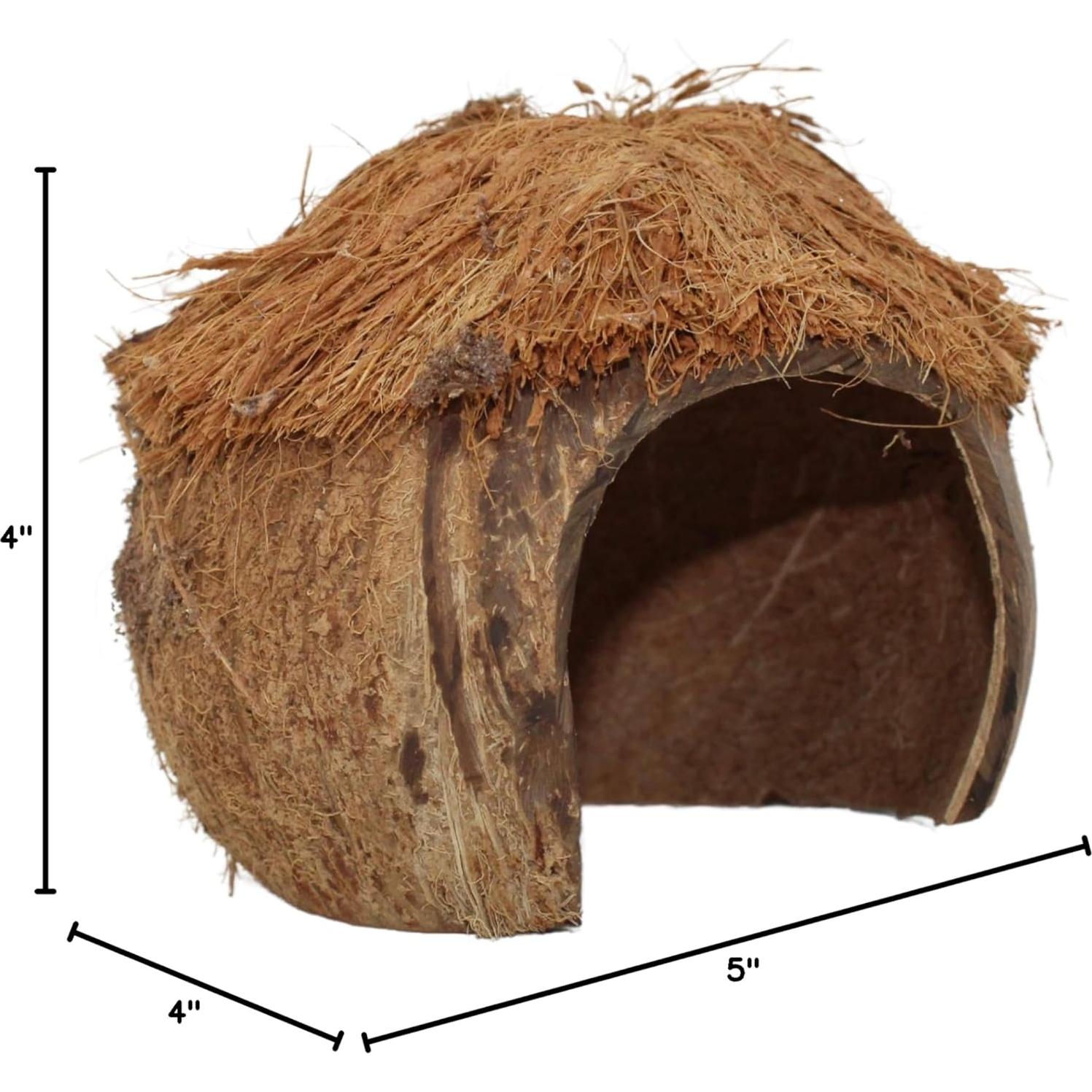 Escondite Needzo para Cangrejos Ermitaños y Reptiles 10x12.7 cm