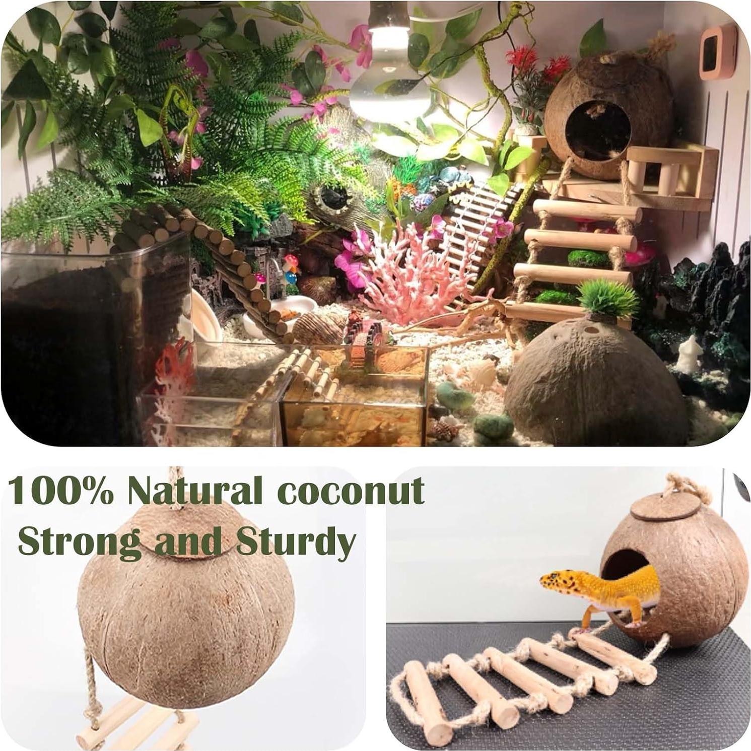 Accesorios para Tanque de Reptiles COSOC - 10 Piezas