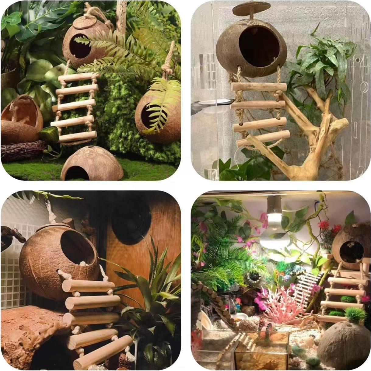 Accesorios para Tanque de Reptiles COSOC - 10 Piezas