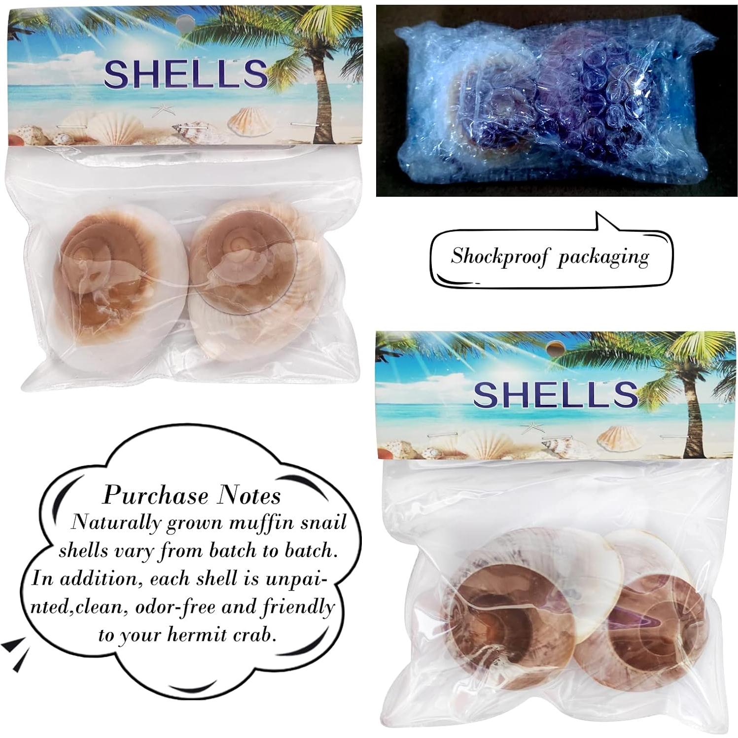 Conchas de Cangrejo Ermitaño QEQEKAKA 2 Pcs Extra Grande