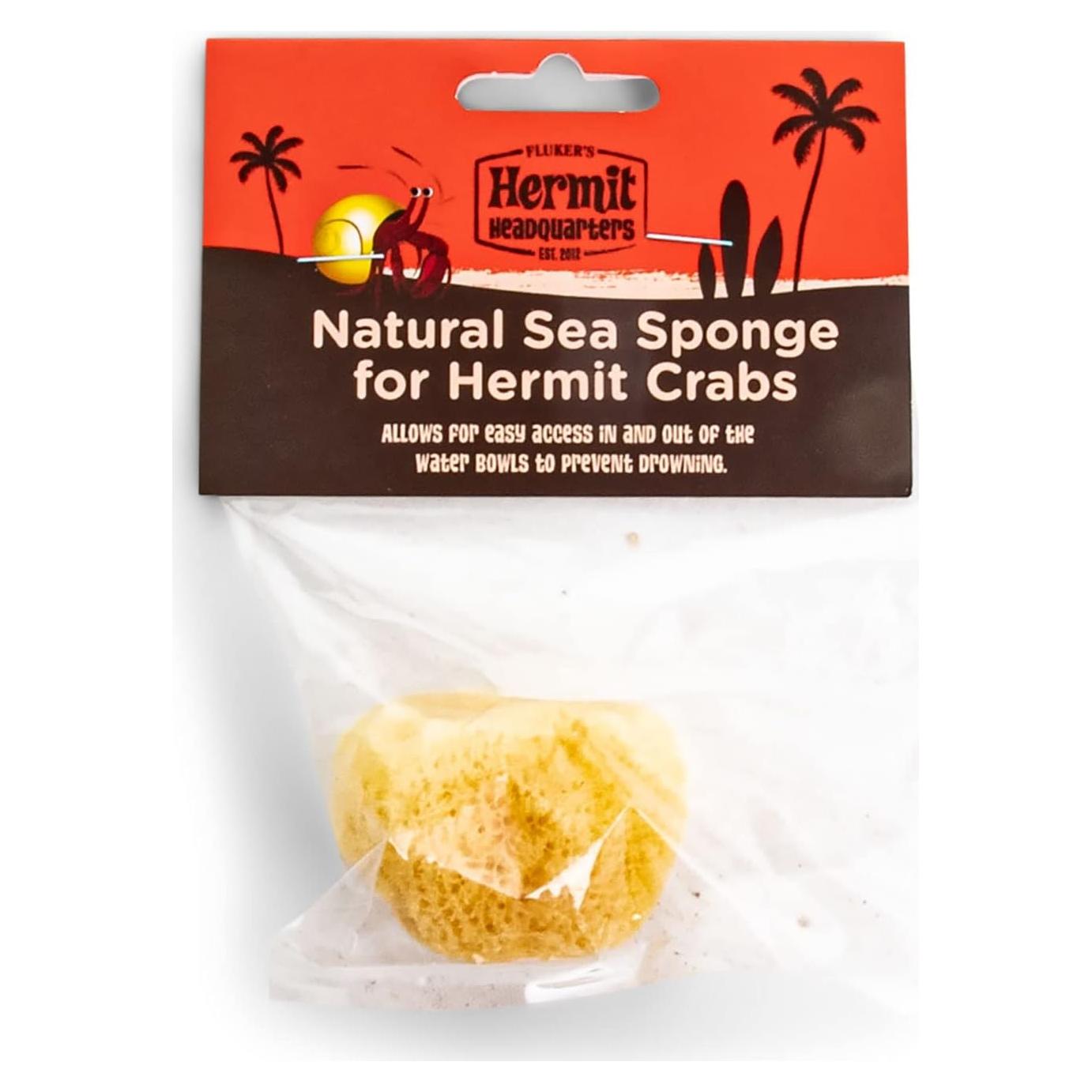 Esponja Natural de Mar Fluker para Cangrejos Ermitaños 2.54cm