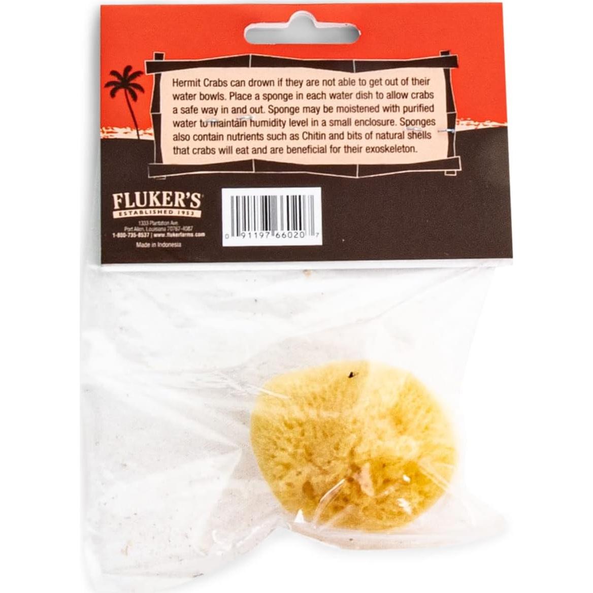 Esponja Natural de Mar Fluker para Cangrejos Ermitaños 2.54cm