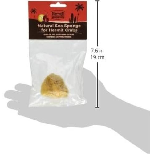 Esponja Natural de Mar Fluker para Cangrejos Ermitaños 2.54cm