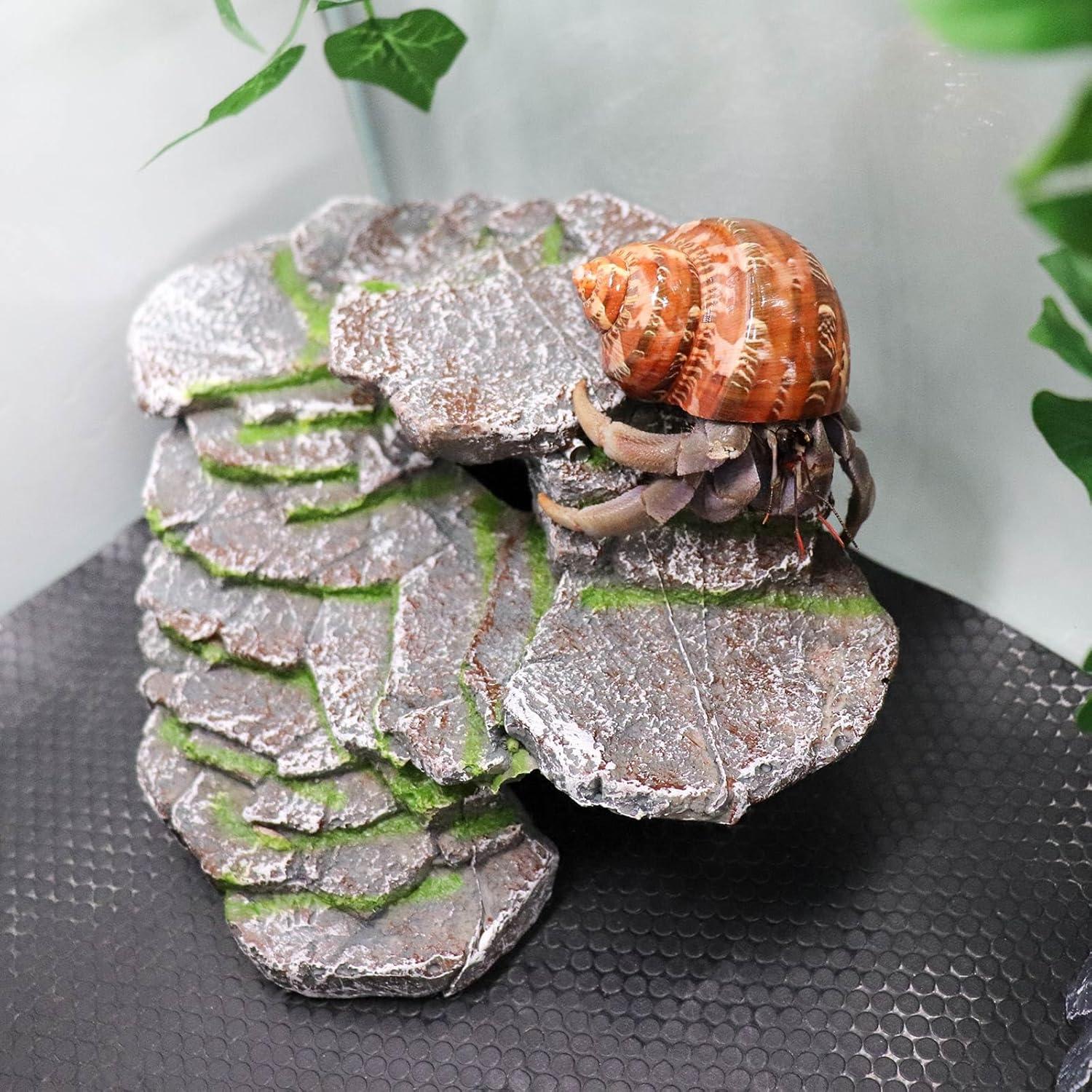 Escondite para Reptiles Neeenn 20x15x7.5cm Resina Ecológica