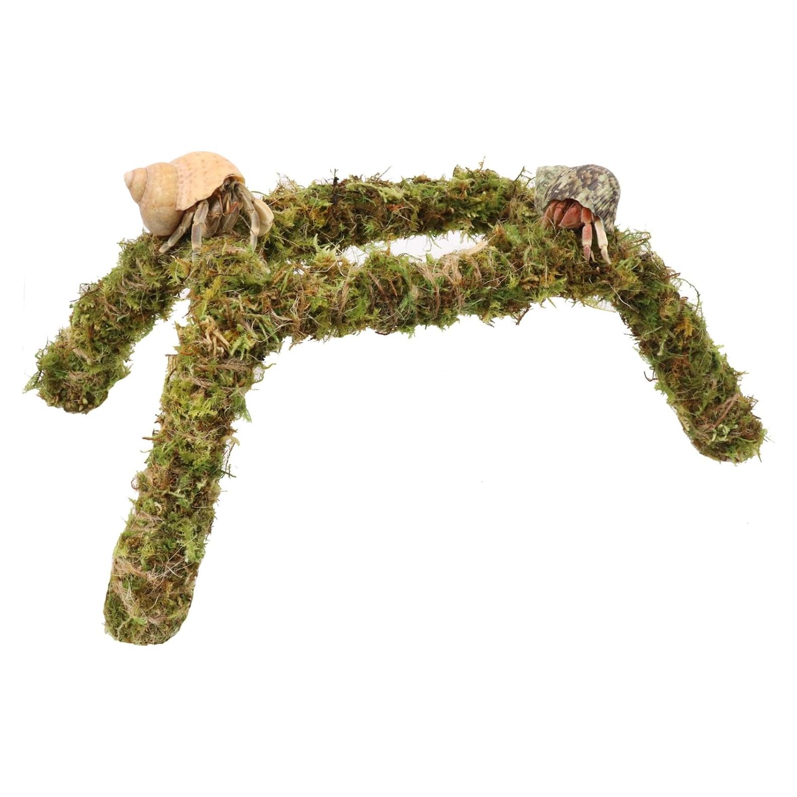 Juguete para Cangrejos Ermitaños Vitalili 28 cm Musgo Natural