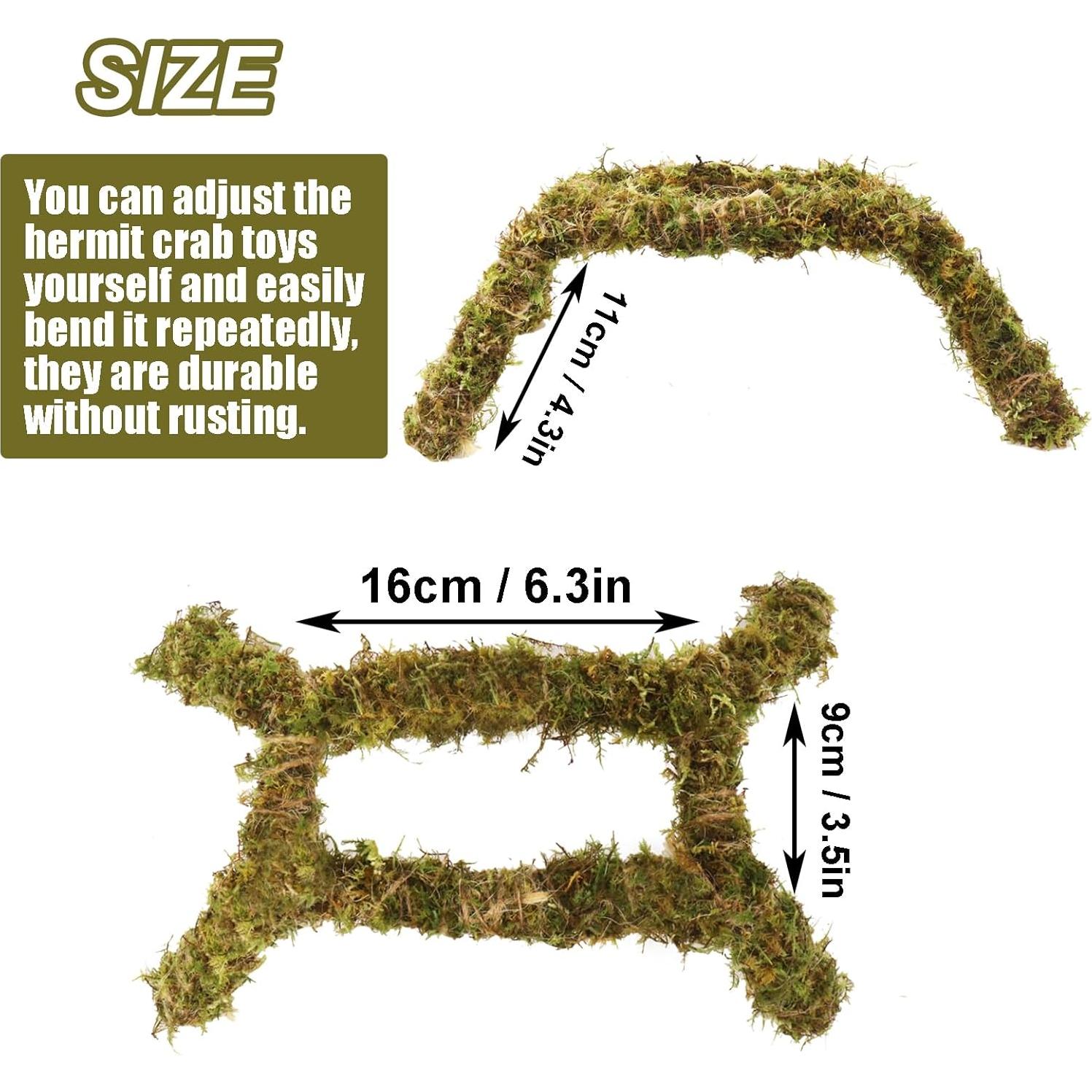 Juguete para Cangrejos Ermitaños Vitalili 28 cm Musgo Natural