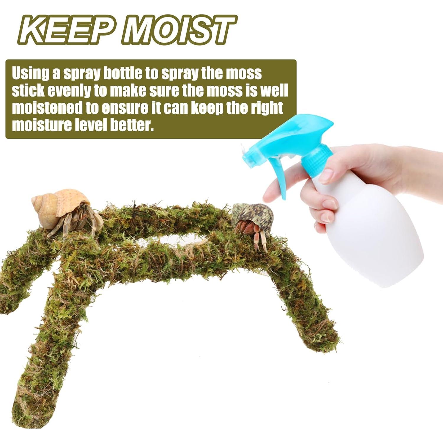 Juguete para Cangrejos Ermitaños Vitalili 28 cm Musgo Natural