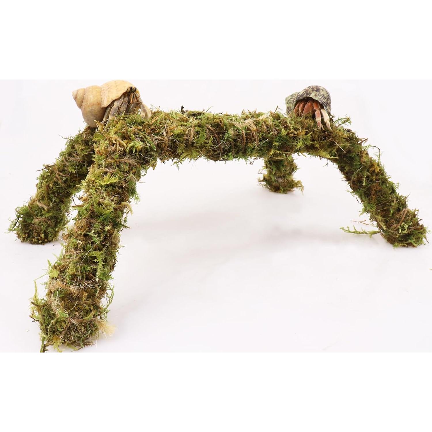 Juguete para Cangrejos Ermitaños Vitalili 28 cm Musgo Natural