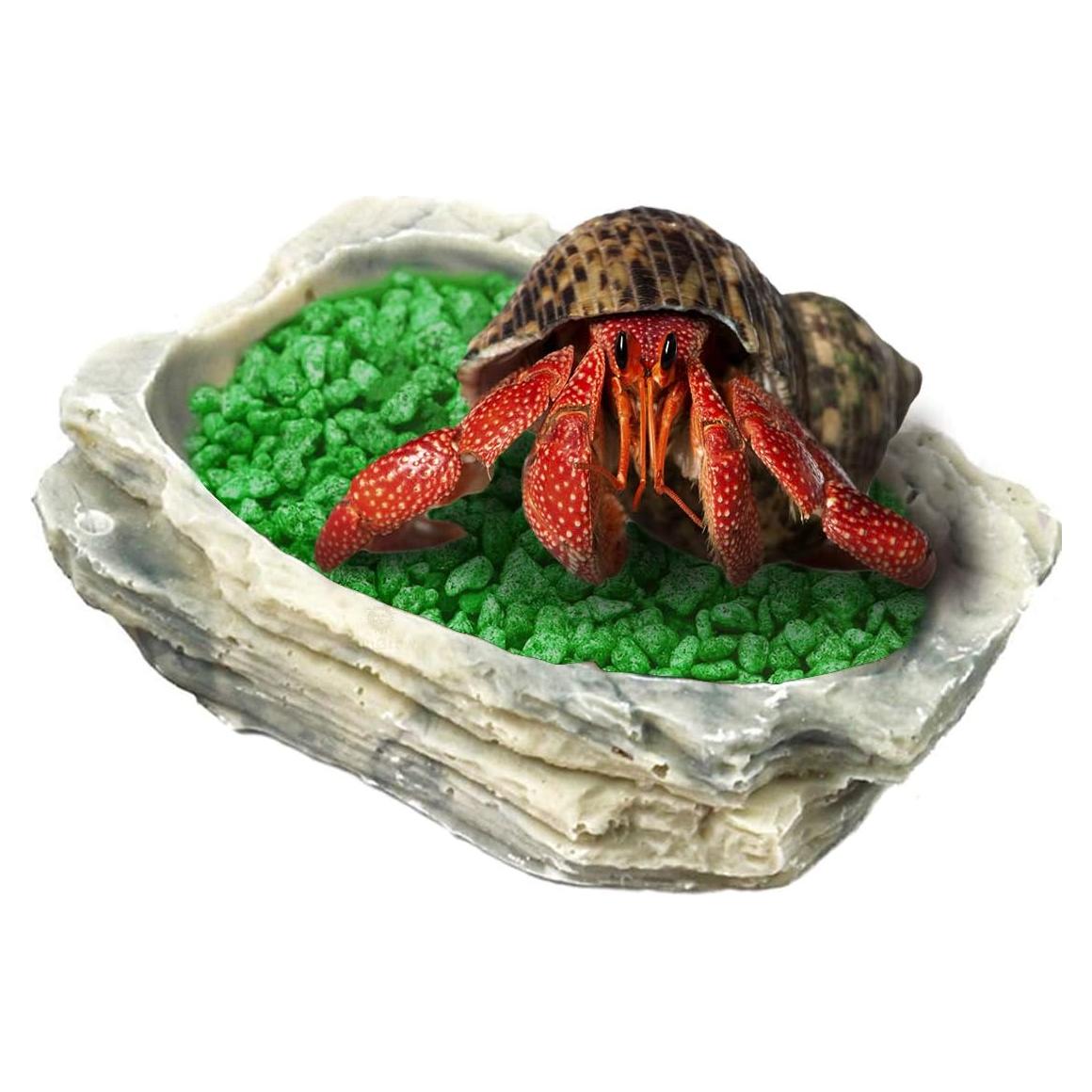 Tazón de Alimentación SunGrow para Cangrejo Ermitaño 9x7x2.5cm