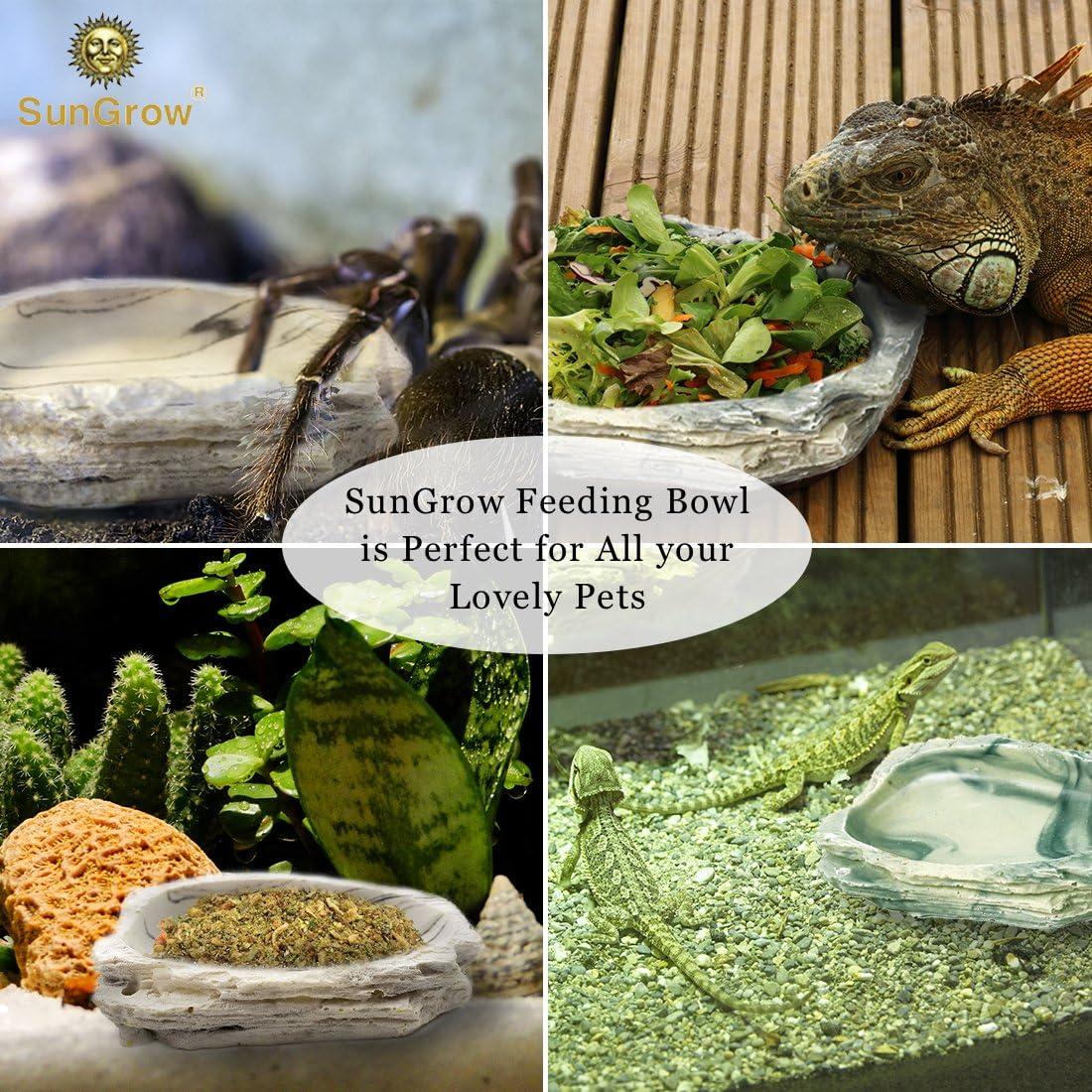 Tazón de Alimentación SunGrow para Cangrejo Ermitaño 9x7x2.5cm