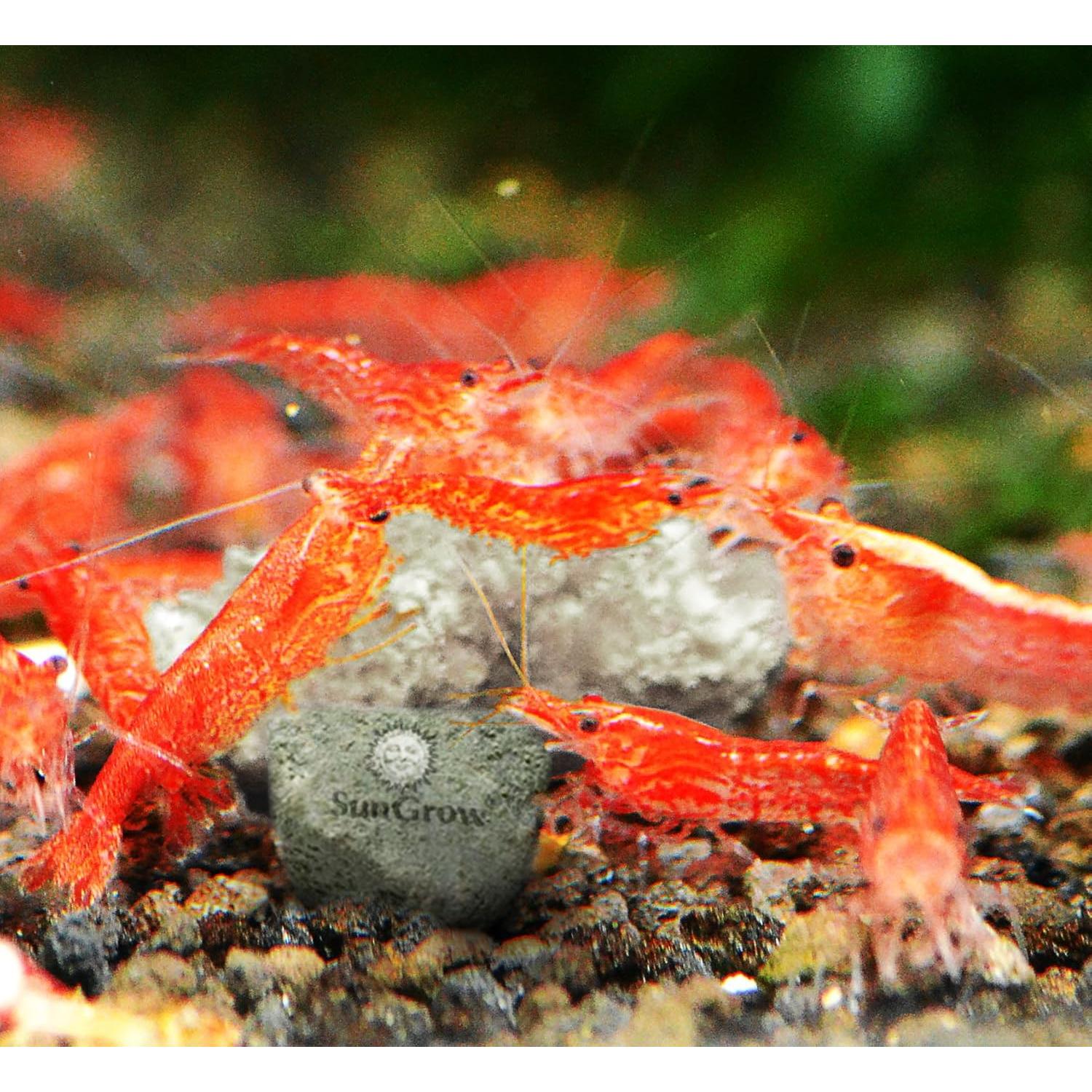 Rocas Minerales SunGrow para Acuarios 56.7g - Calcio y Magnesio