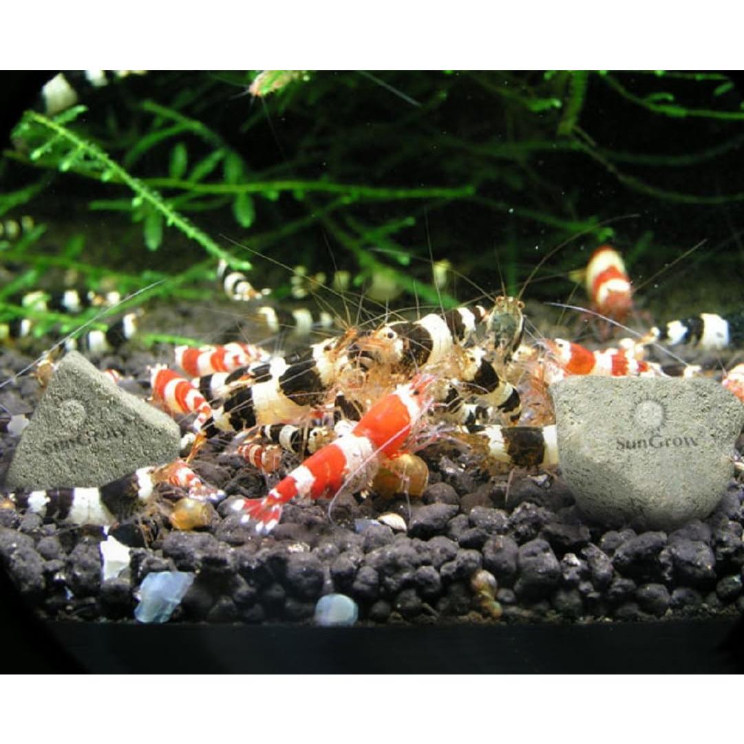 Rocas Minerales SunGrow para Acuarios 56.7g - Calcio y Magnesio