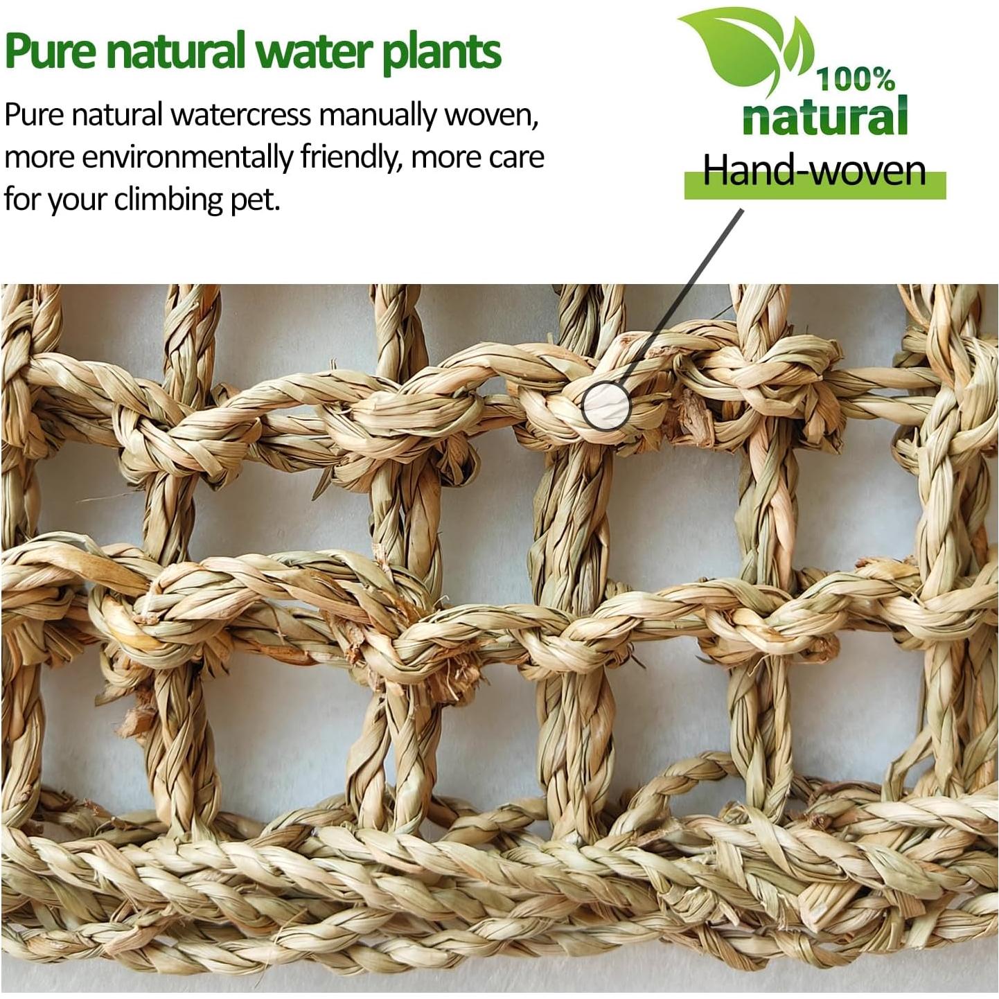 Juego de Juguetes para Cangrejos Ermitaños FEXICHUJI - Hamaca y Escalera