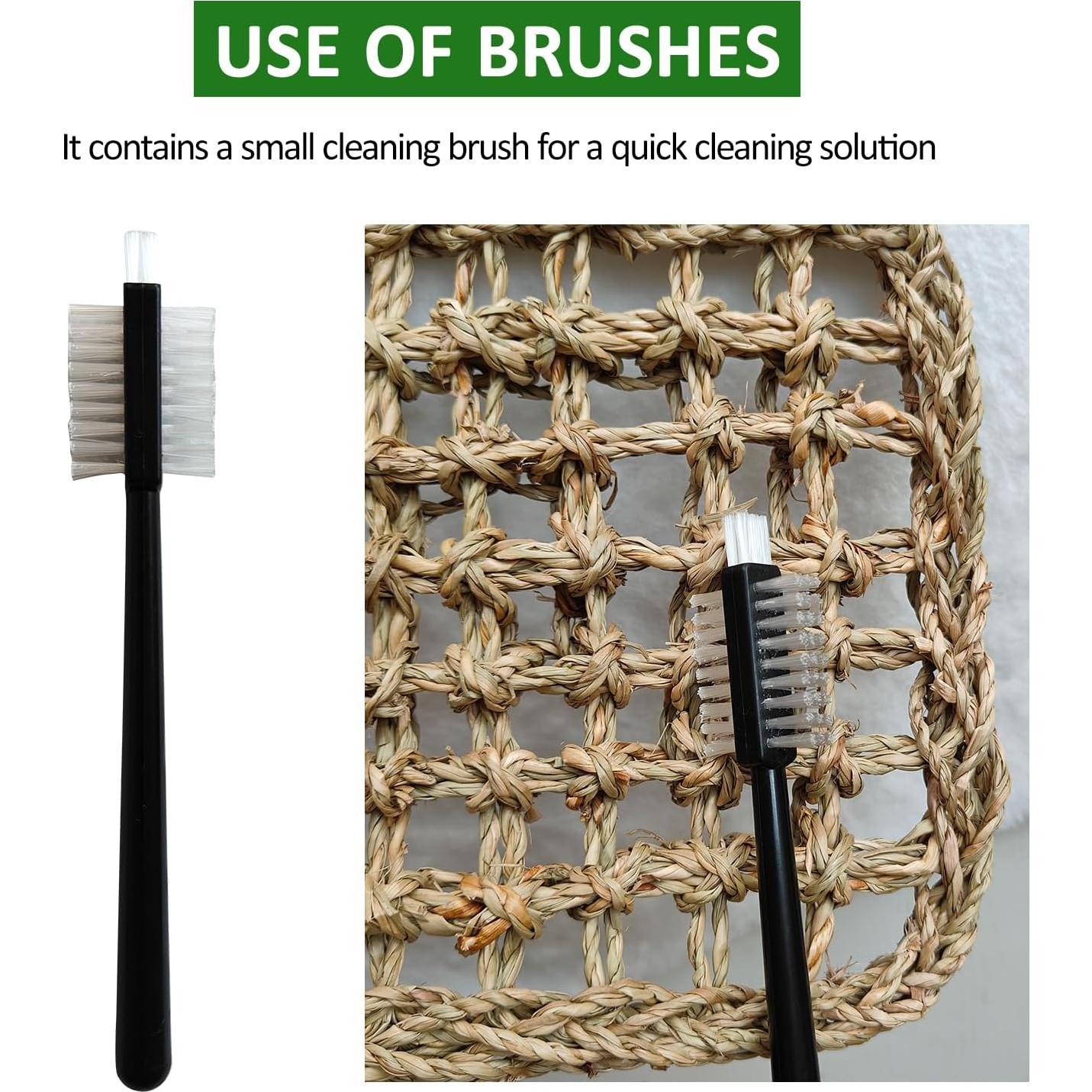 Juego de Juguetes para Cangrejos Ermitaños FEXICHUJI - Hamaca y Escalera