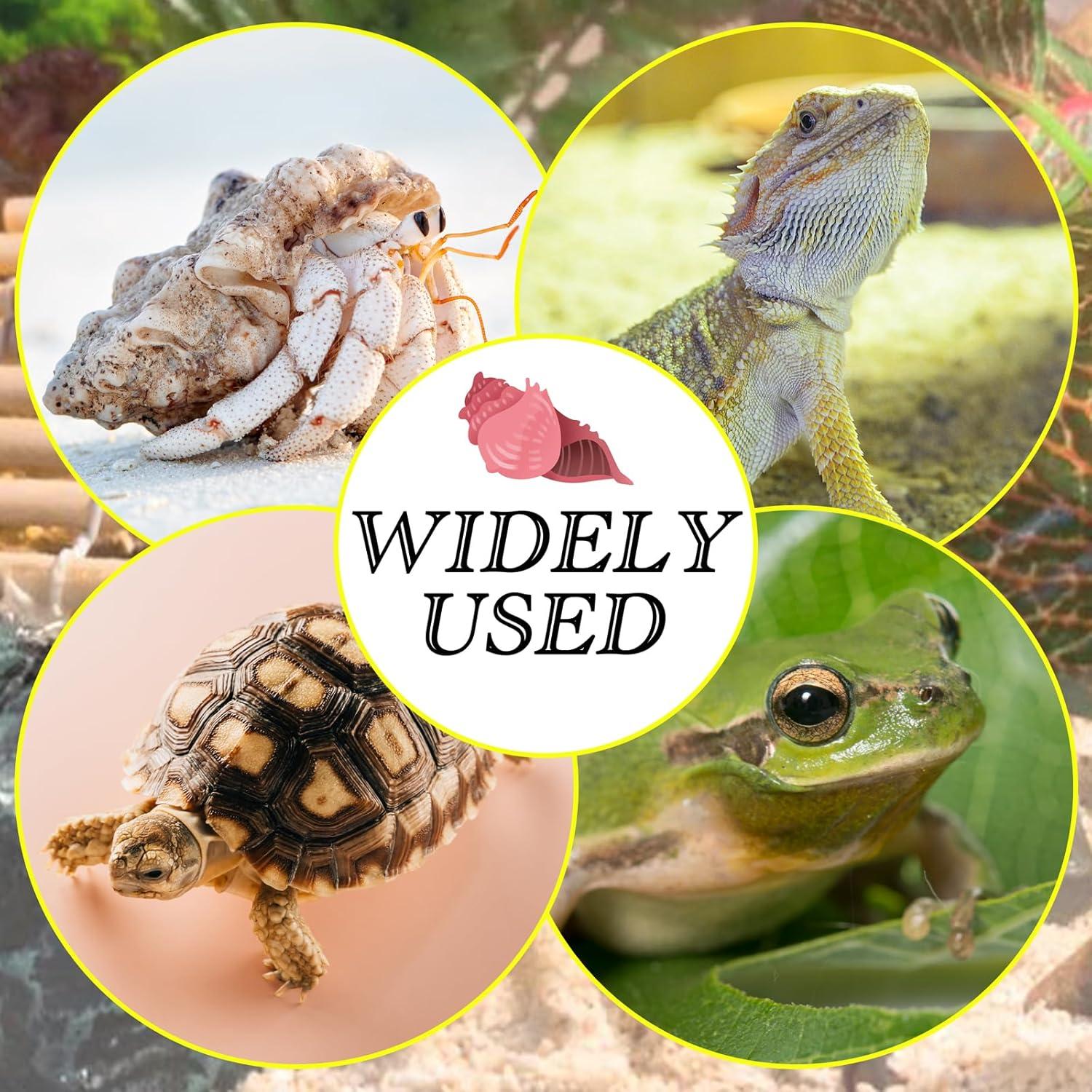 Juego de Juguetes para Cangrejos Ermitaños Niuohoy - Hamacas y Escalera