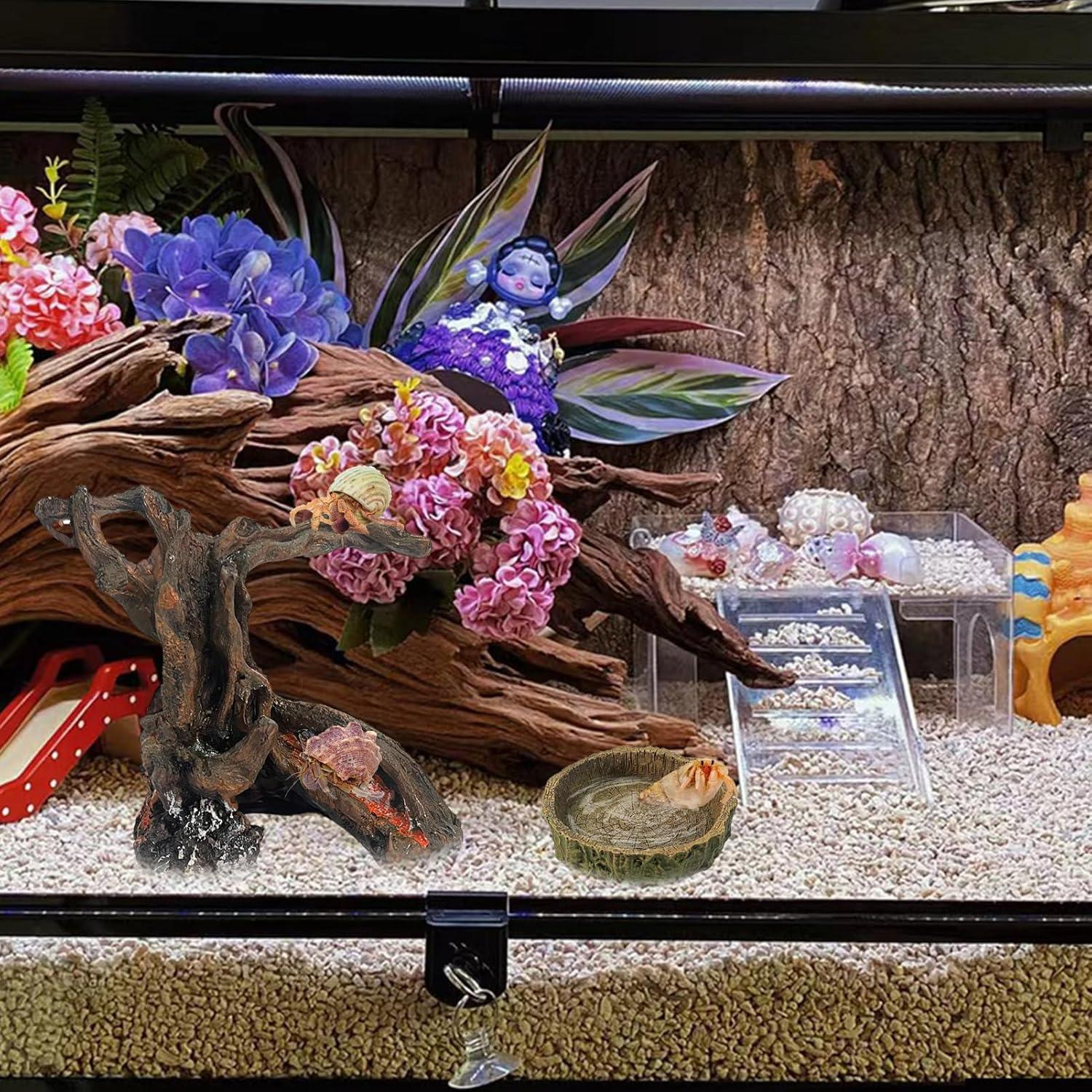 Juguete de Escalada y Escondite para Cangrejo Ermitaño Rainmae