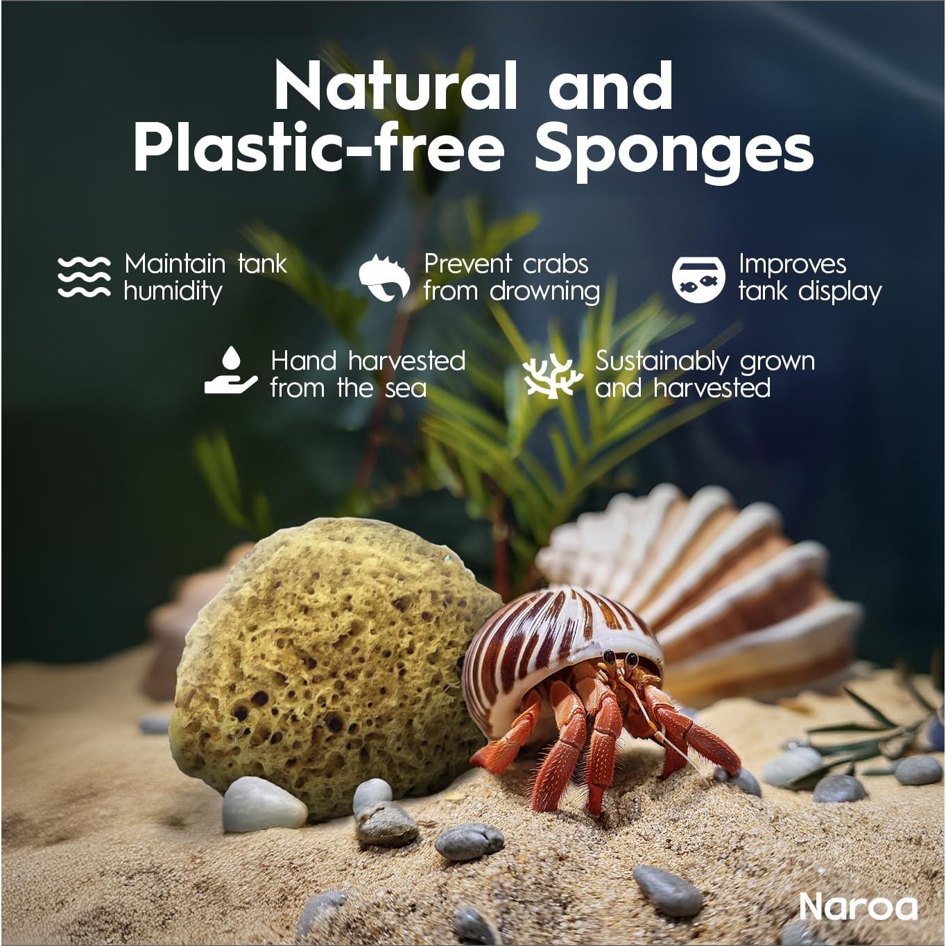 Esponjas Naturales Naroa para Cangrejos Ermitaños - 5 Unidades