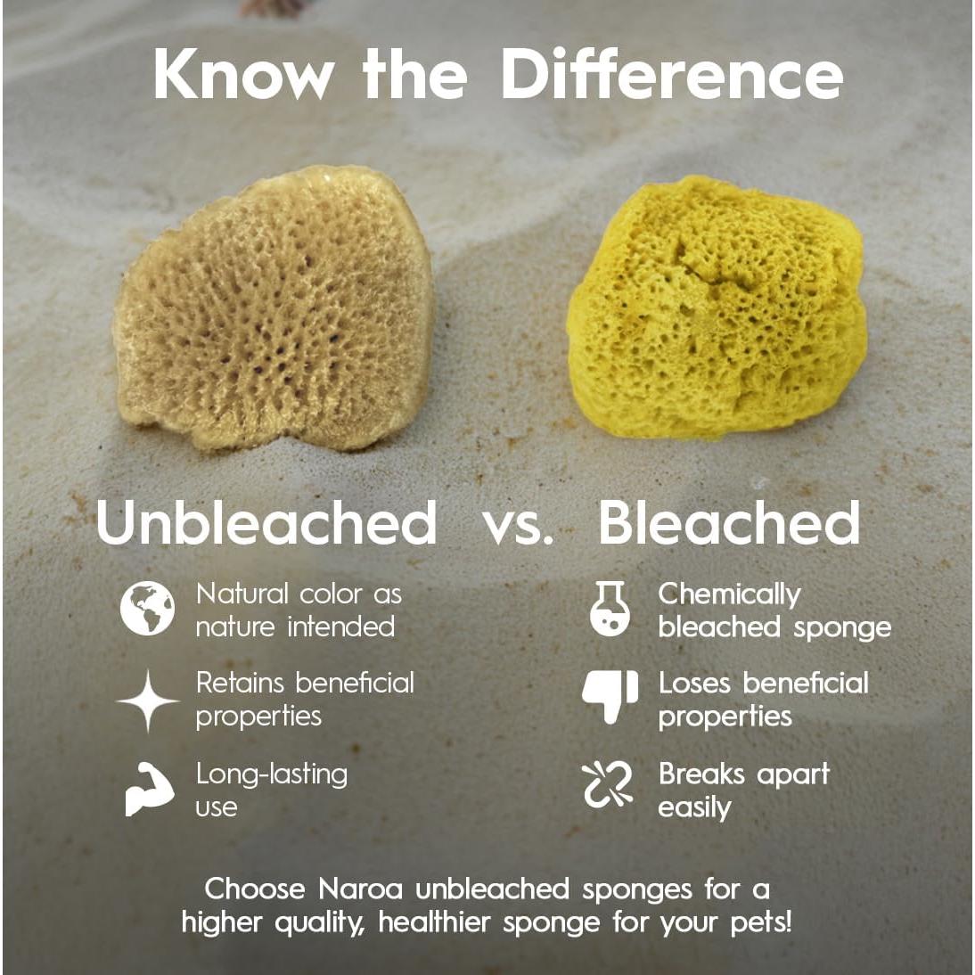 Esponjas Naturales Naroa para Cangrejos Ermitaños - 5 Unidades