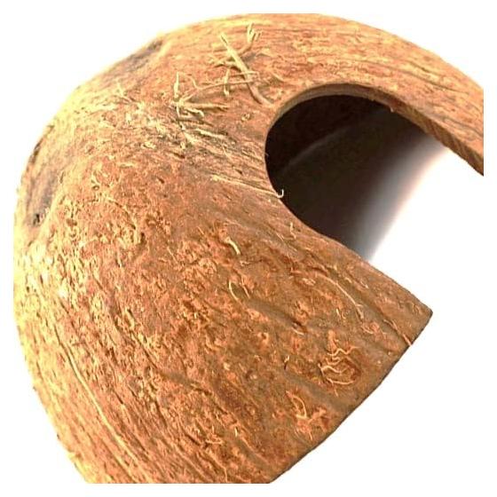 Escondite de Coco Natural Hexagrowth para Acuario 7.6x6.4 cm