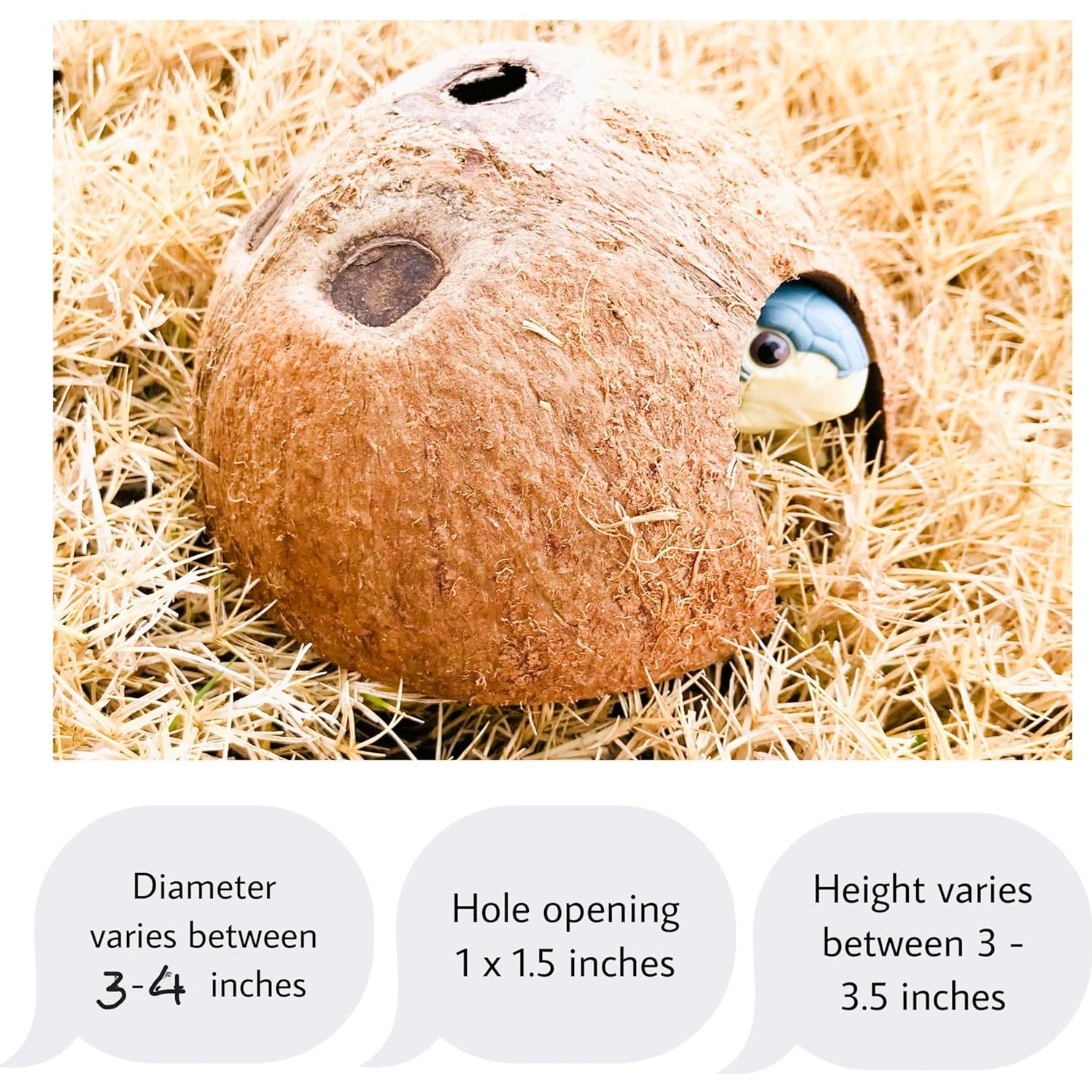 Escondite de Coco Natural Hexagrowth para Acuario 7.6x6.4 cm