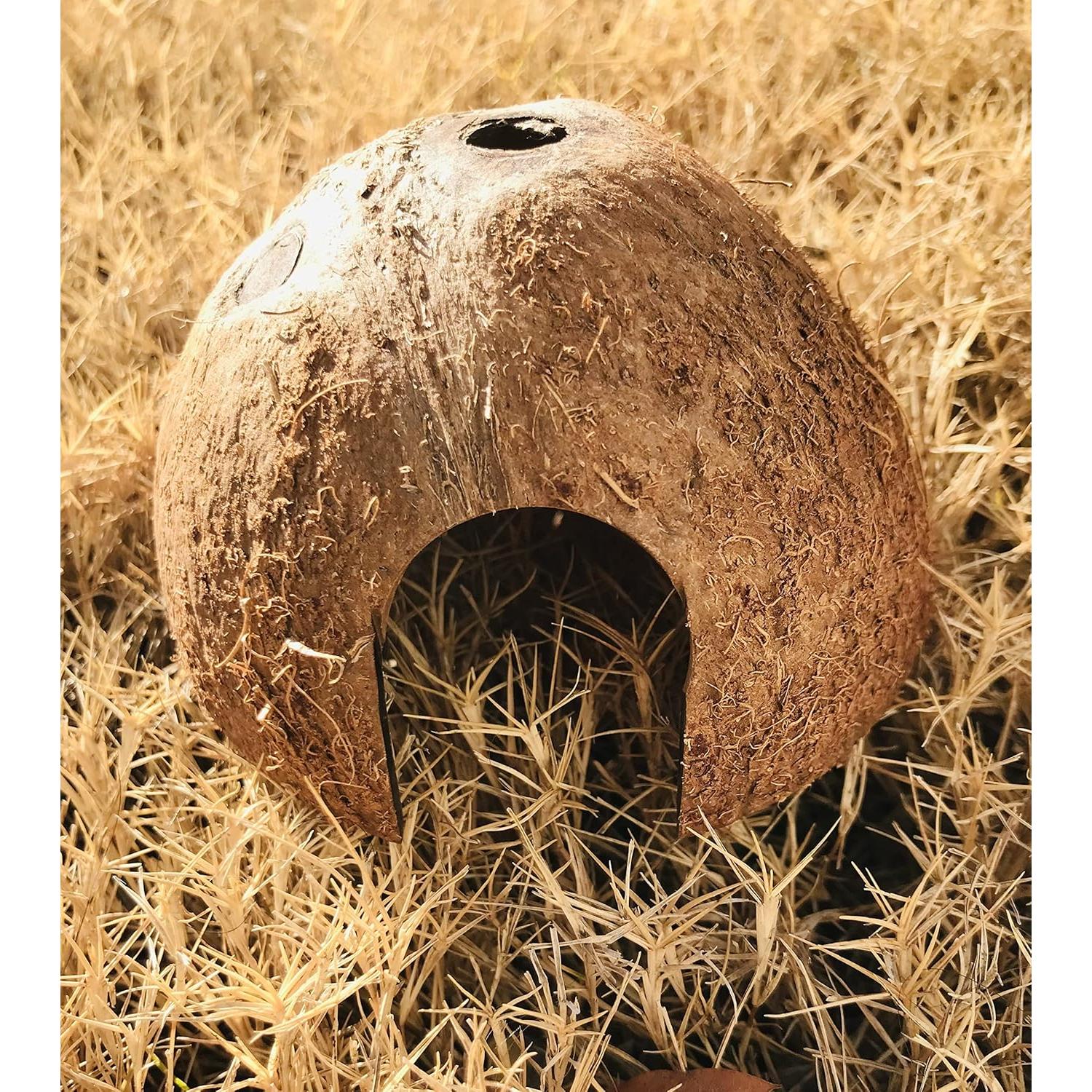 Escondite de Coco Natural Hexagrowth para Acuario 7.6x6.4 cm