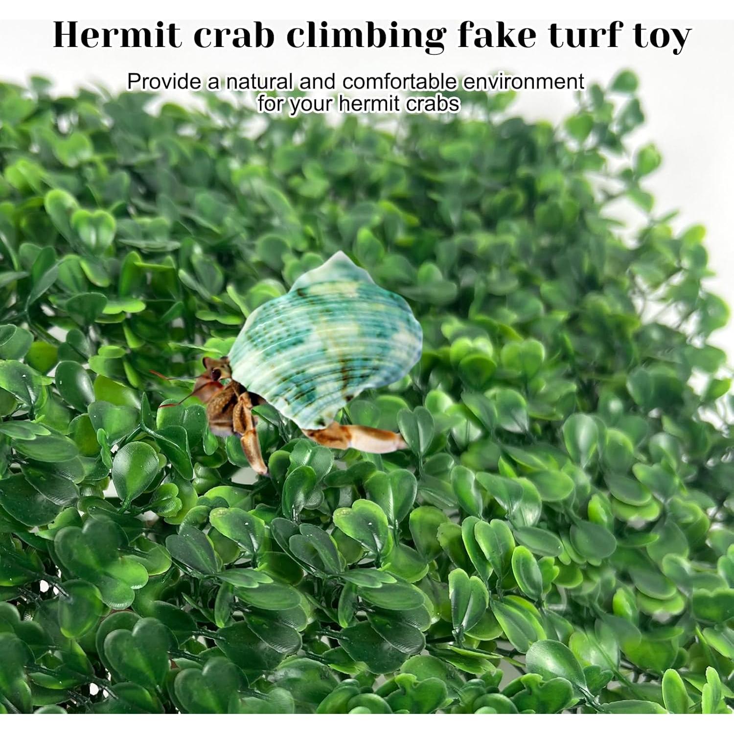 Alfombra de Césped Falso Rainmae 25x25 cm para Cangrejos