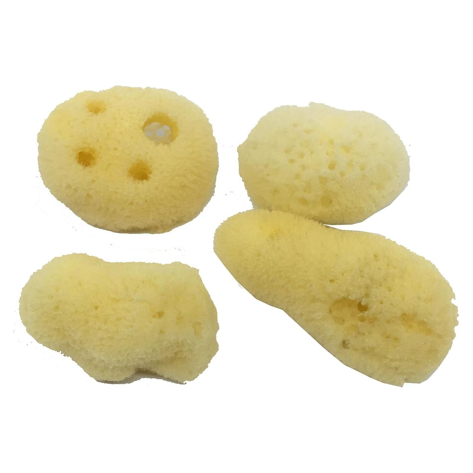 Esponjas Naturales para Cangrejos Ermitaños - 4 Piezas