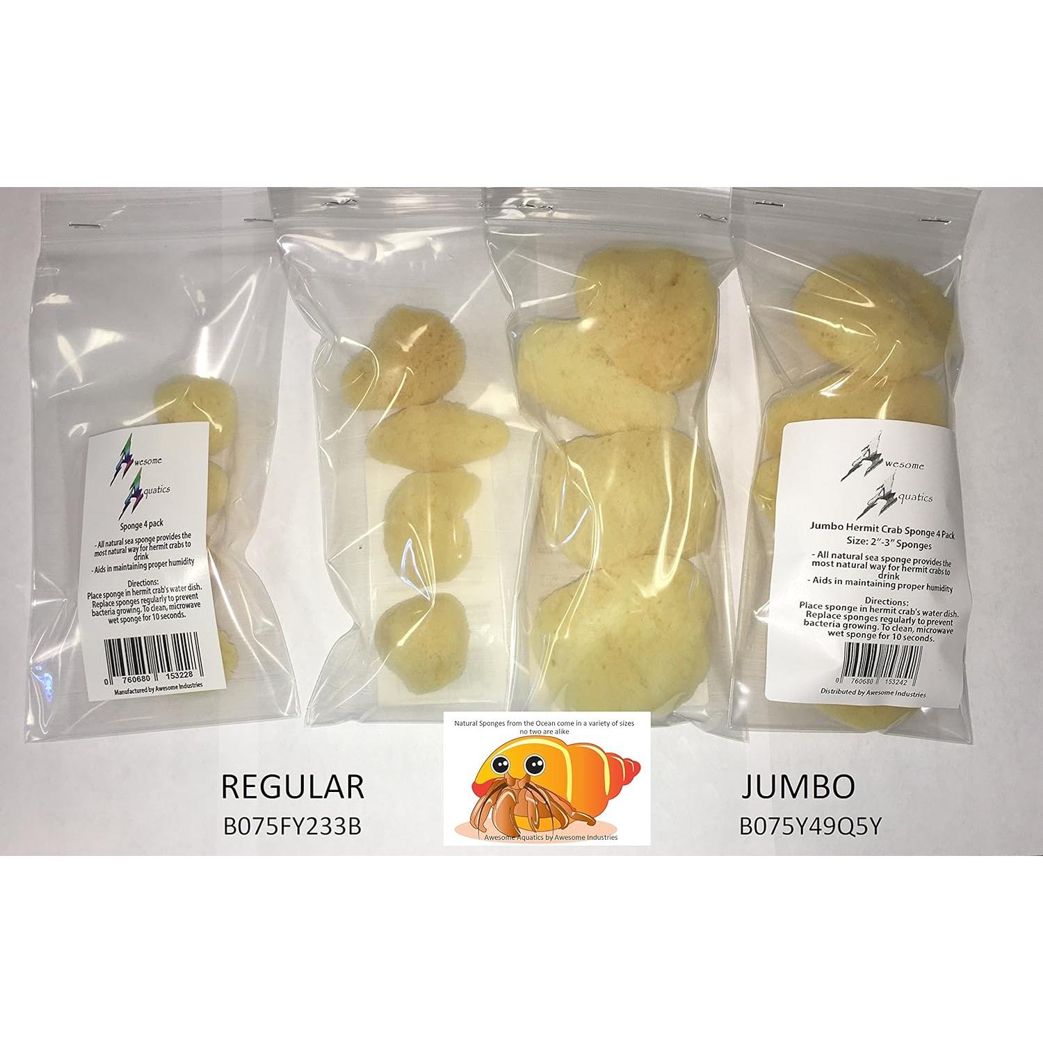 Esponjas Naturales para Cangrejos Ermitaños - 4 Piezas