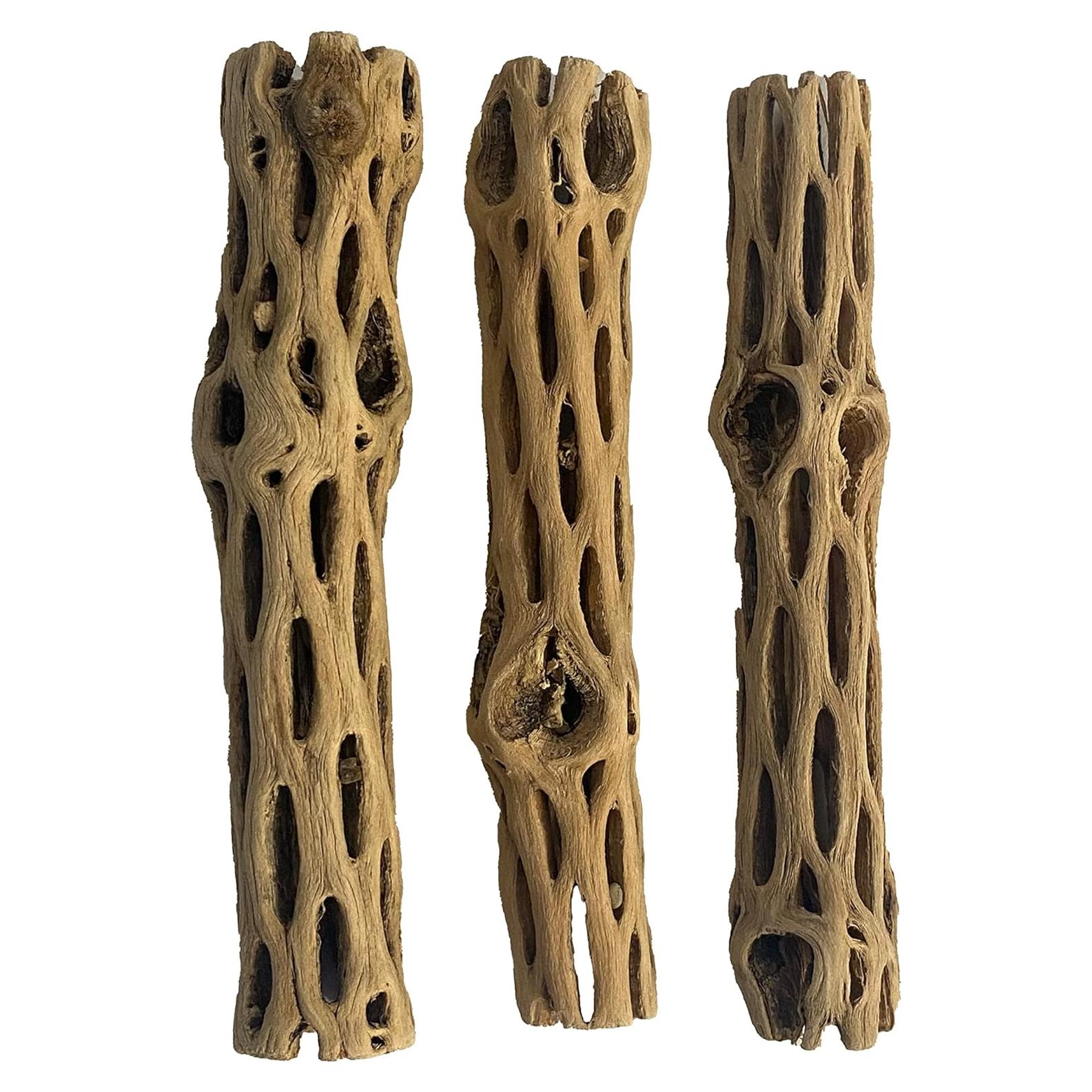 Madera Cholla Natural 3 Piezas 15 cm Increíble Acuático