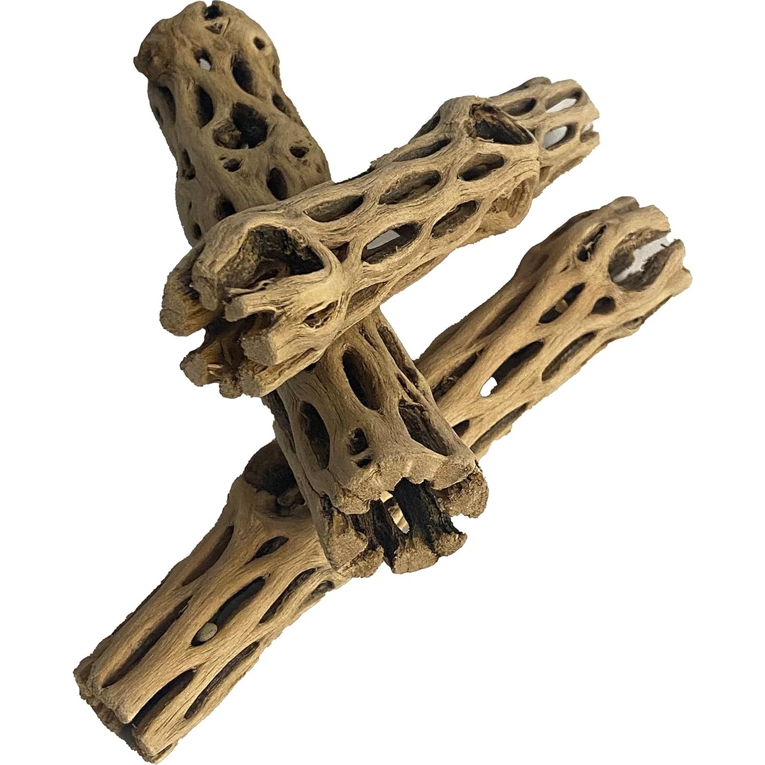 Madera Cholla Natural 3 Piezas 15 cm Increíble Acuático
