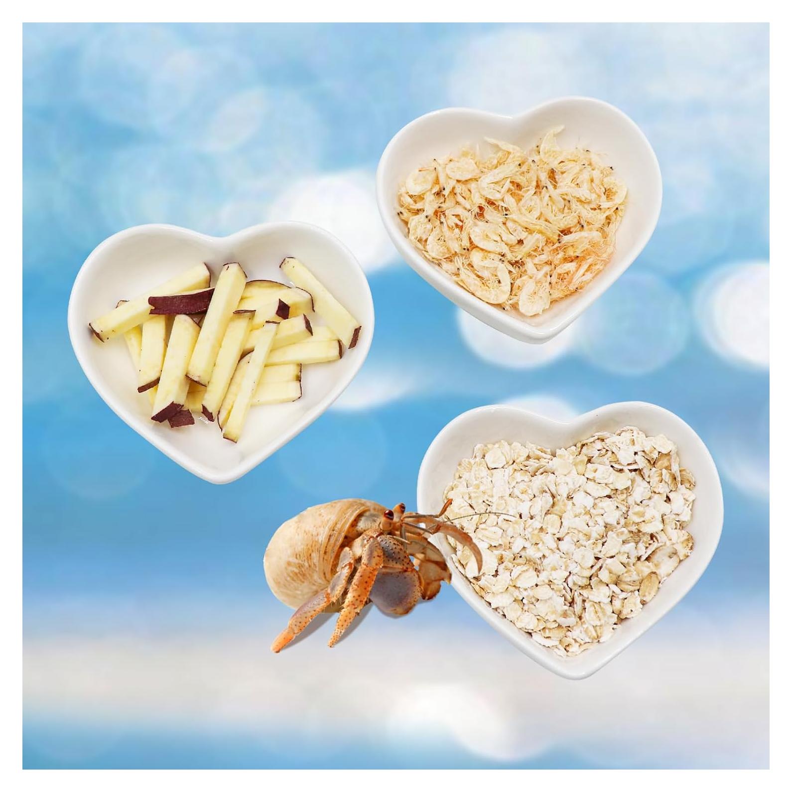 Kit de Platos de Cerámica para Cangrejo Ermitaño 3 Piezas