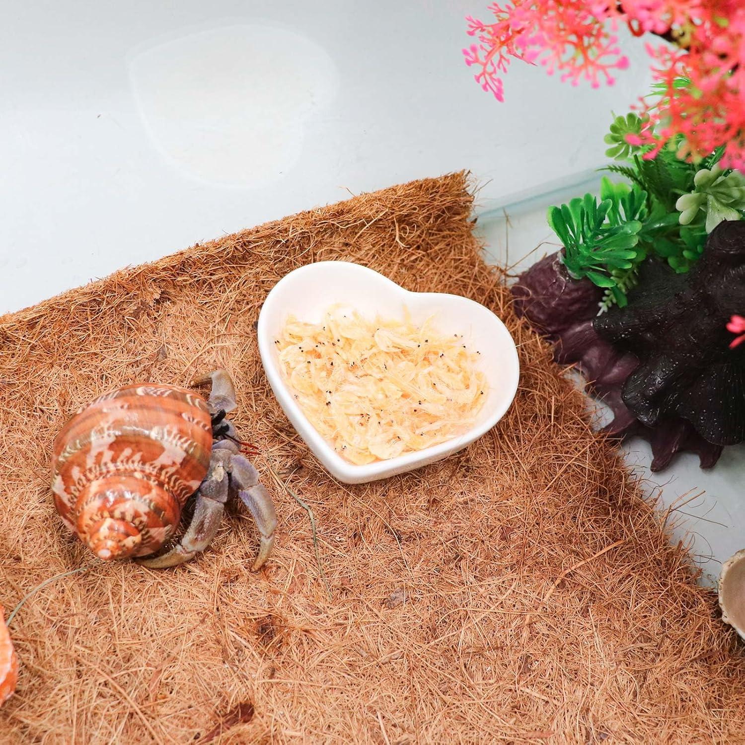 Kit de Platos de Cerámica para Cangrejo Ermitaño 3 Piezas