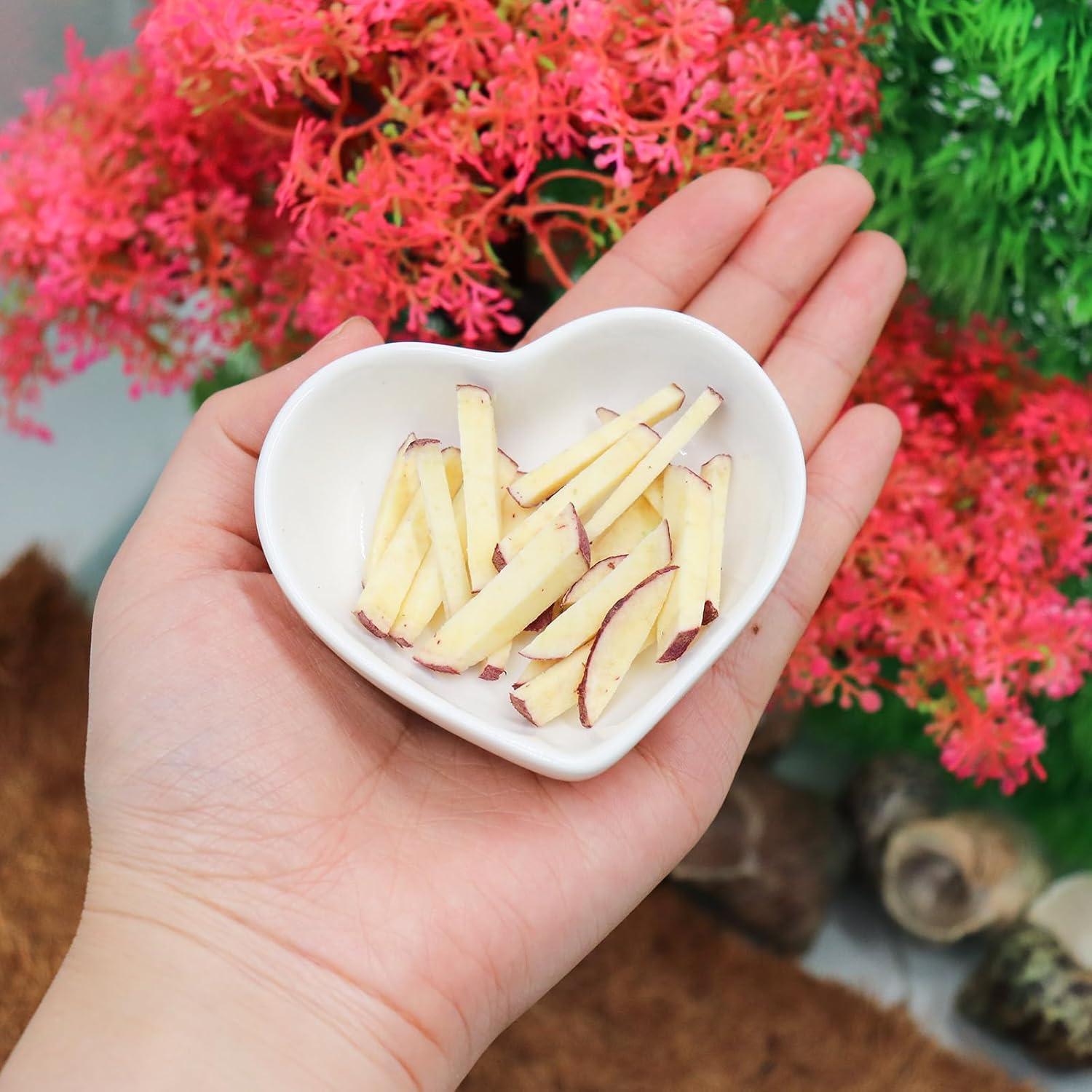 Kit de Platos de Cerámica para Cangrejo Ermitaño 3 Piezas