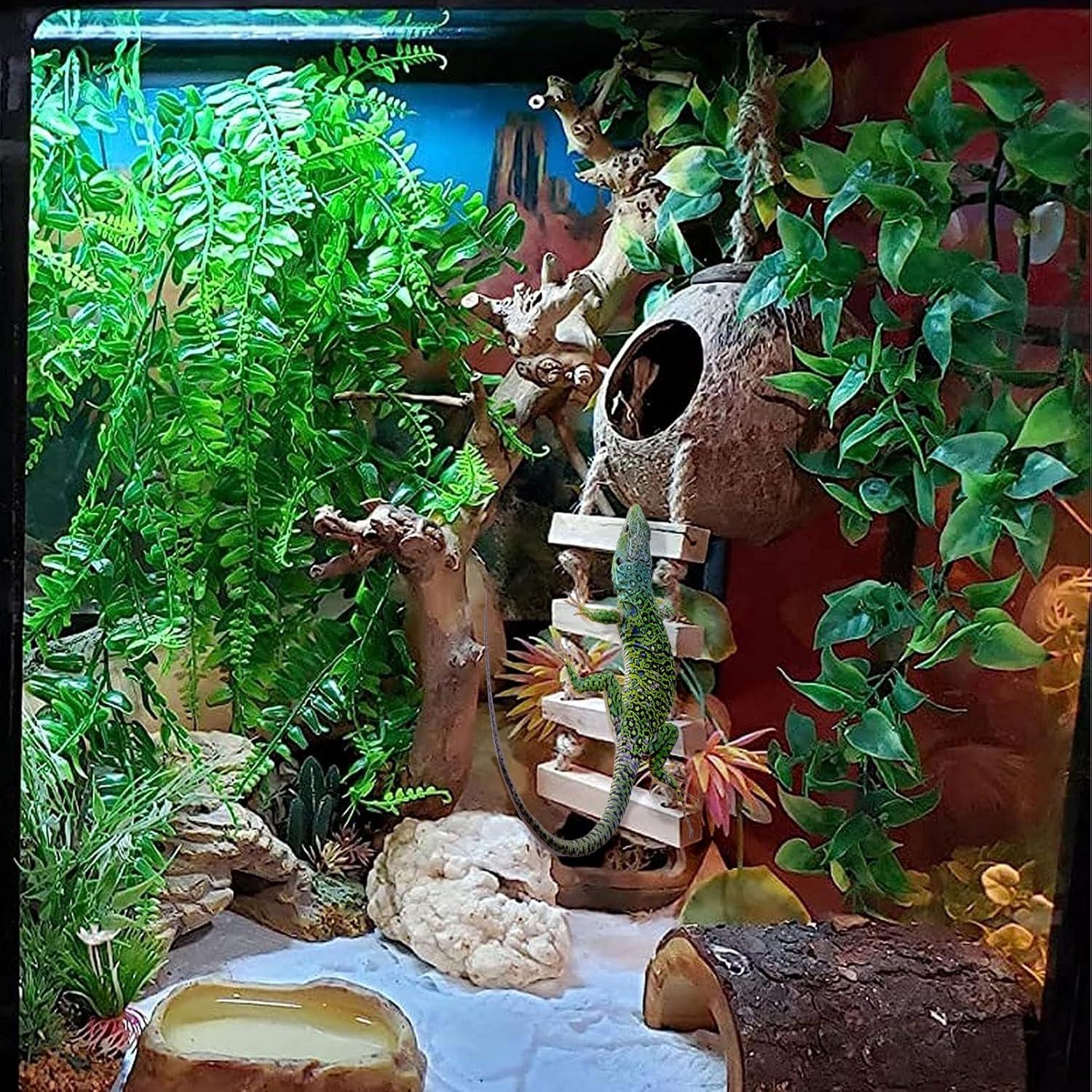 Casa de Coco Natural MUYG para Gecko y Lagarto con Hamaca