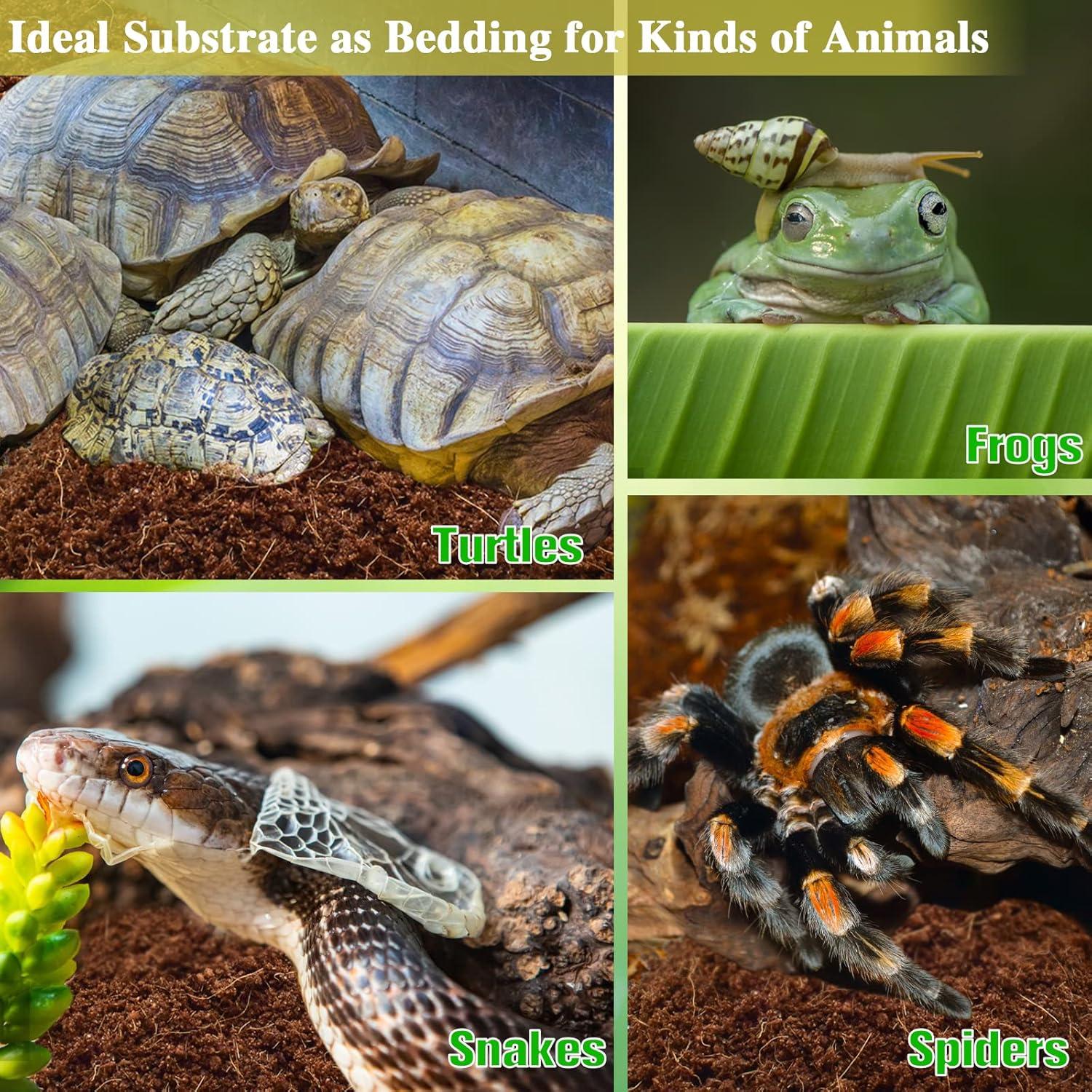 Sustrato de Fibra de Coco ZeeDix 2 Pcs 100% Orgánico 19.8x9.9cm