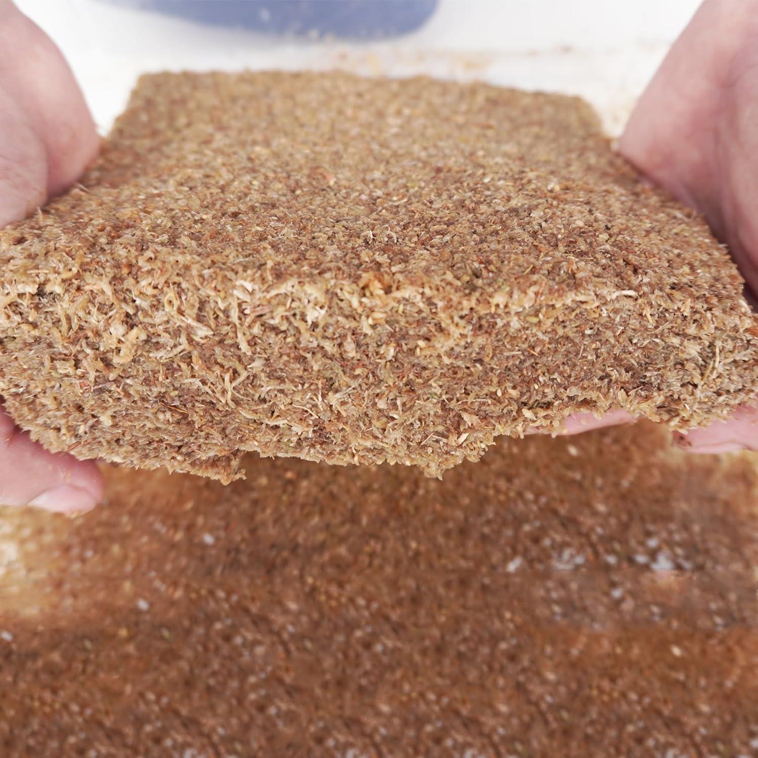 Sustrato de fibra de musgo esfagno Begeterday 2L para cangrejos