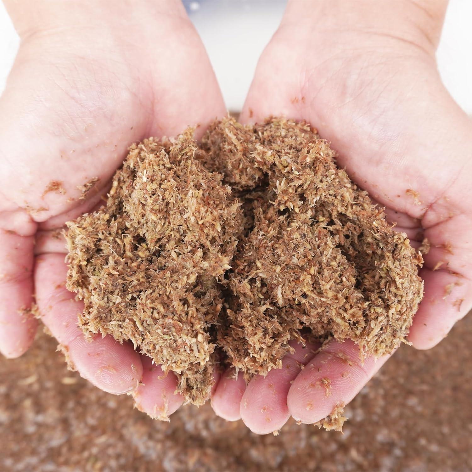 Sustrato de fibra de musgo esfagno Begeterday 2L para cangrejos